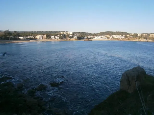 Natural landscape in Hotel Ancora
