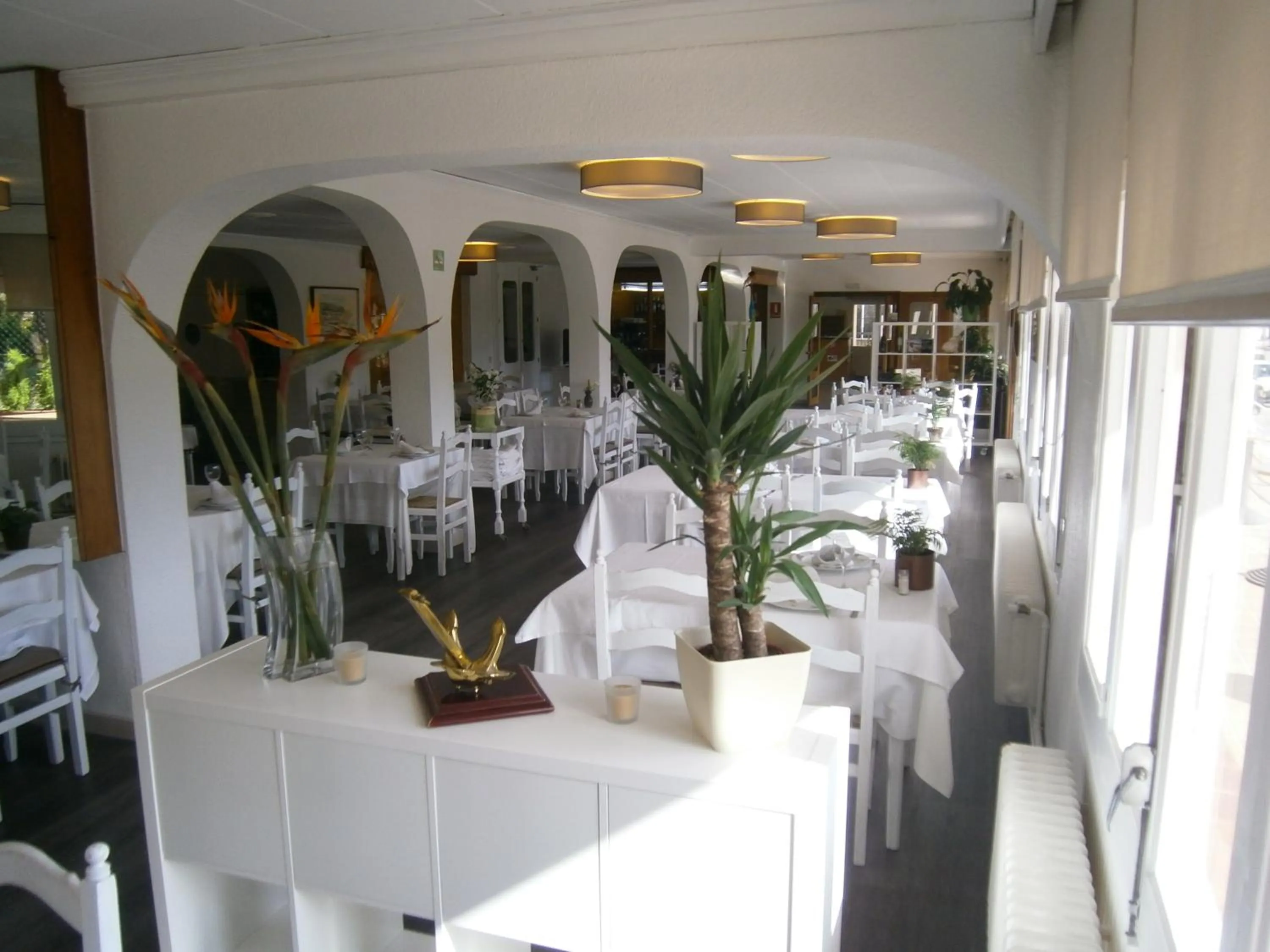 Dinner in Hotel Ancora