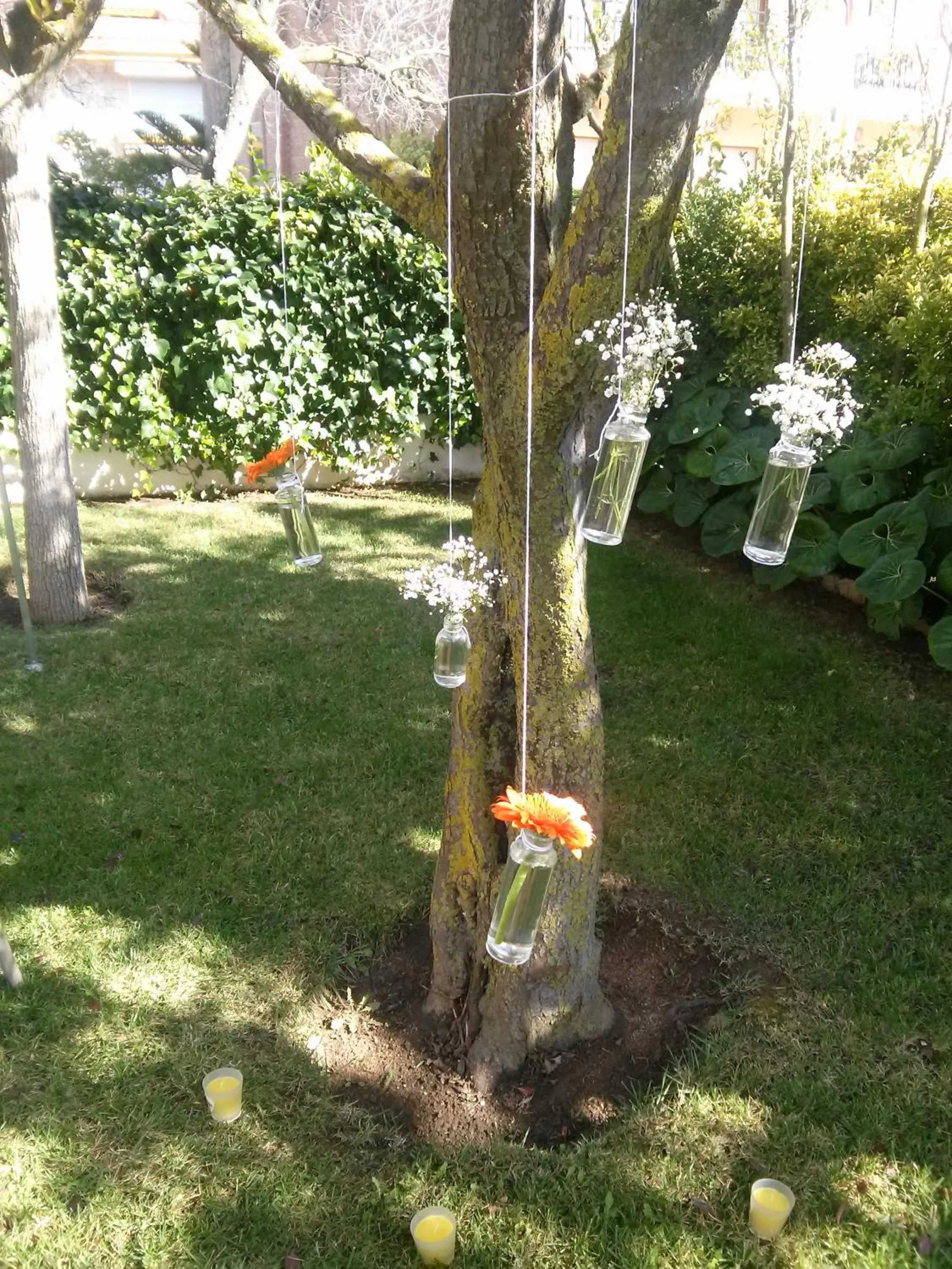 Garden in Hotel Ancora