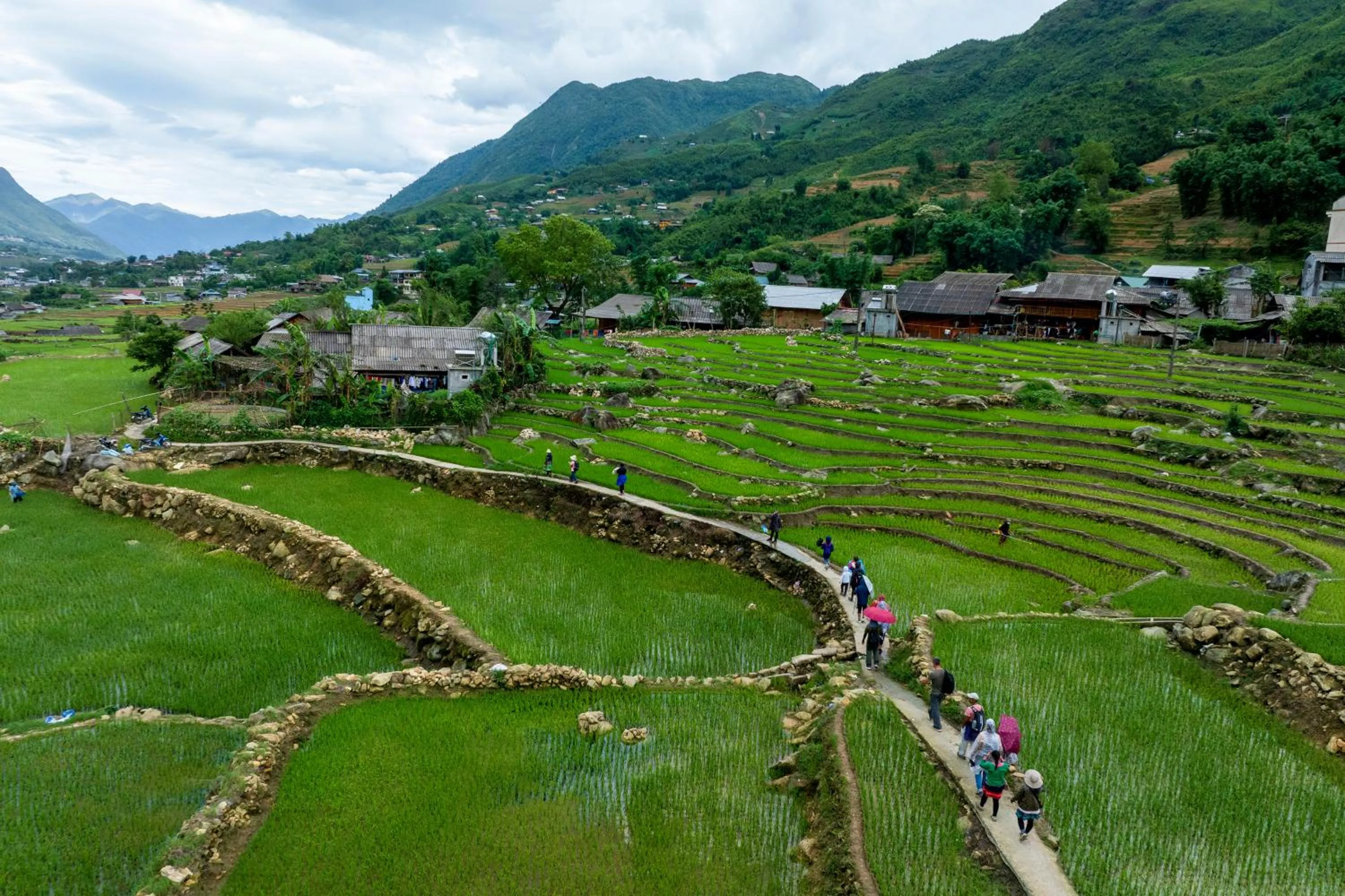 Sapa Farmstay