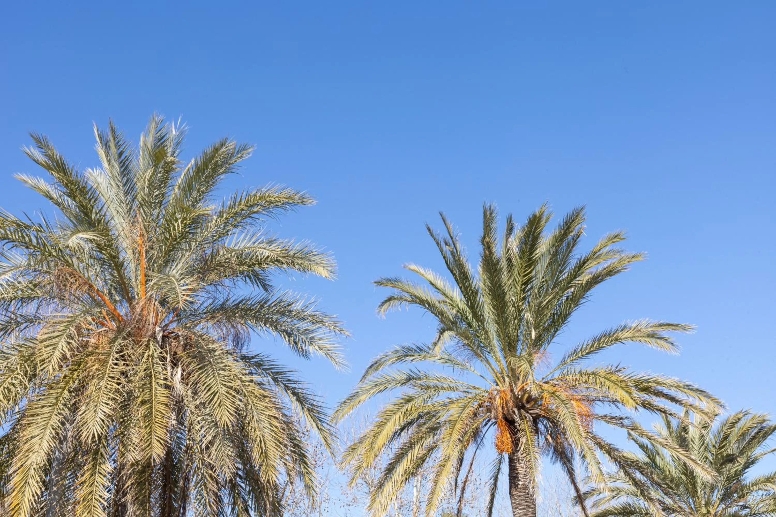 View (from property/room) in Seth Port Mahón