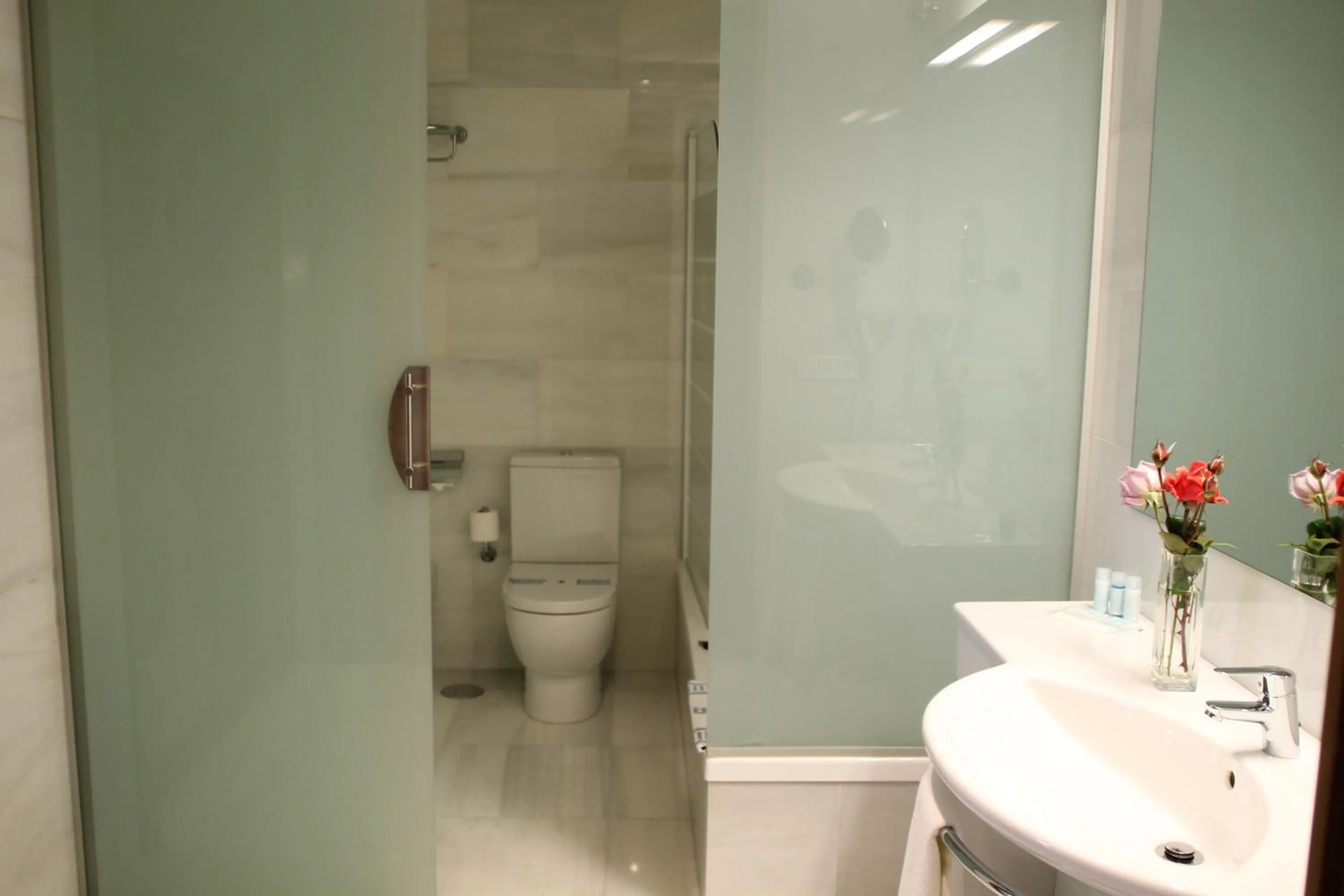 Single Room in Hotel - Restaurante Casa Rosita