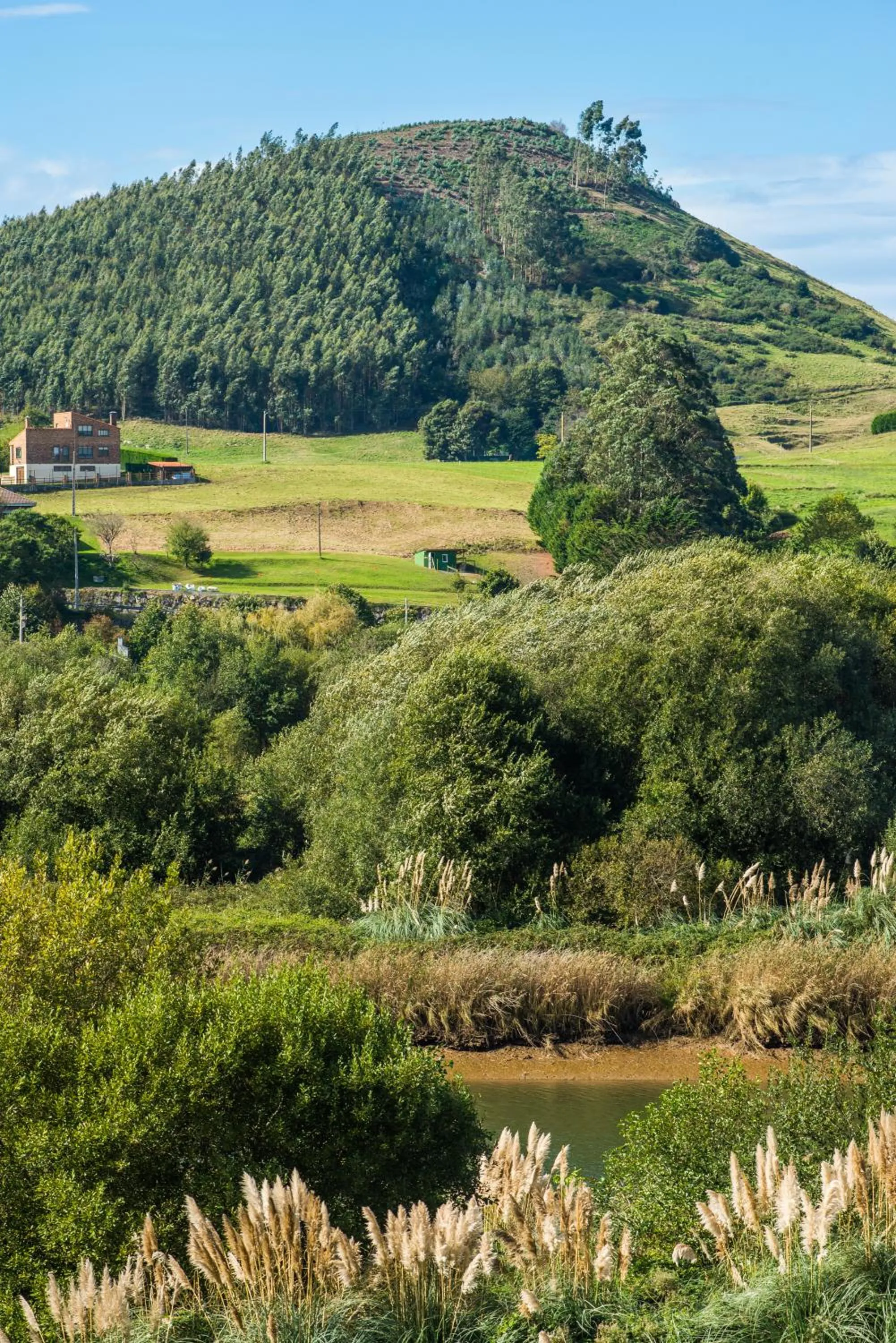 Natural landscape in Apartamentos Dunas de Liencres