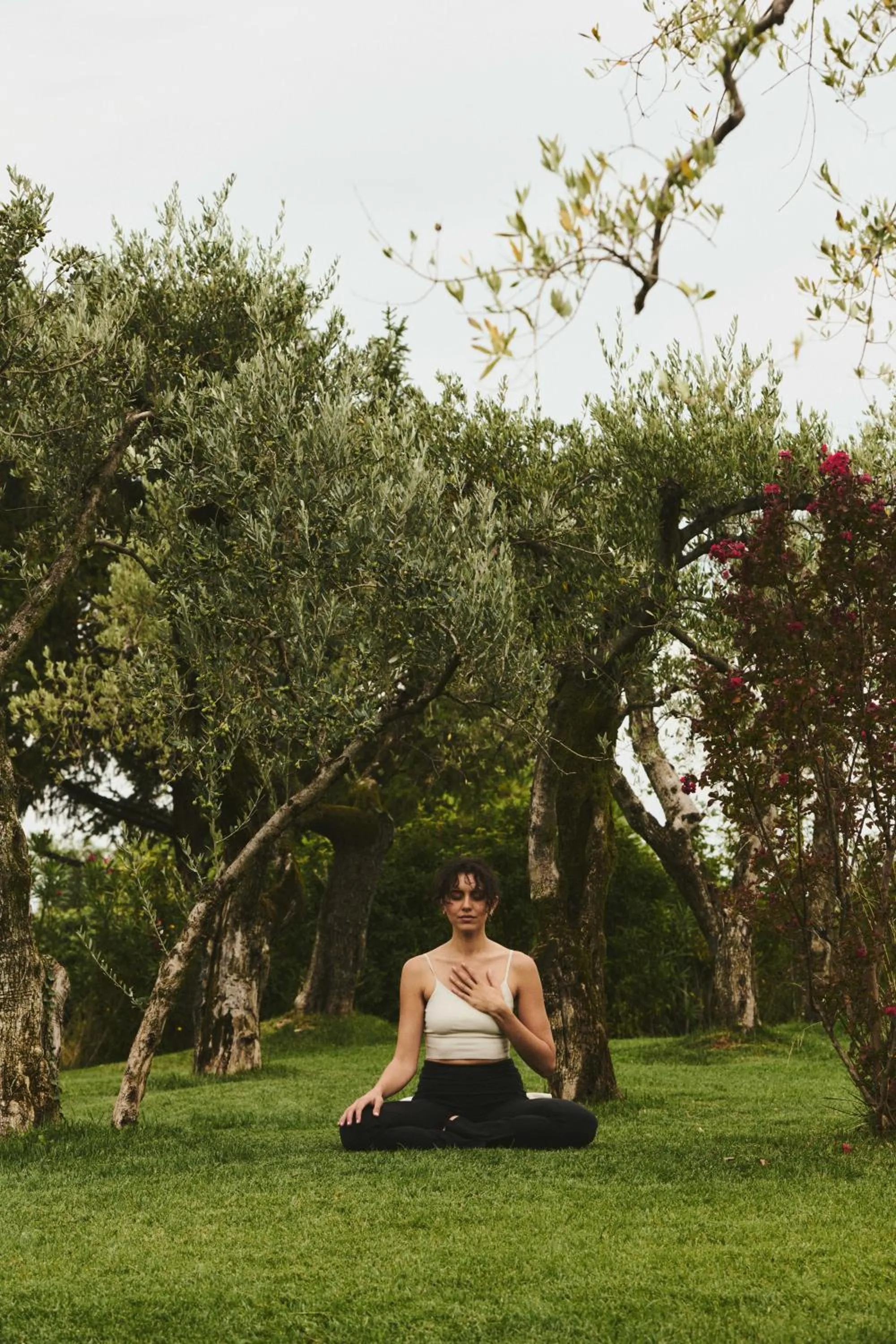 Garden in Cape of Senses