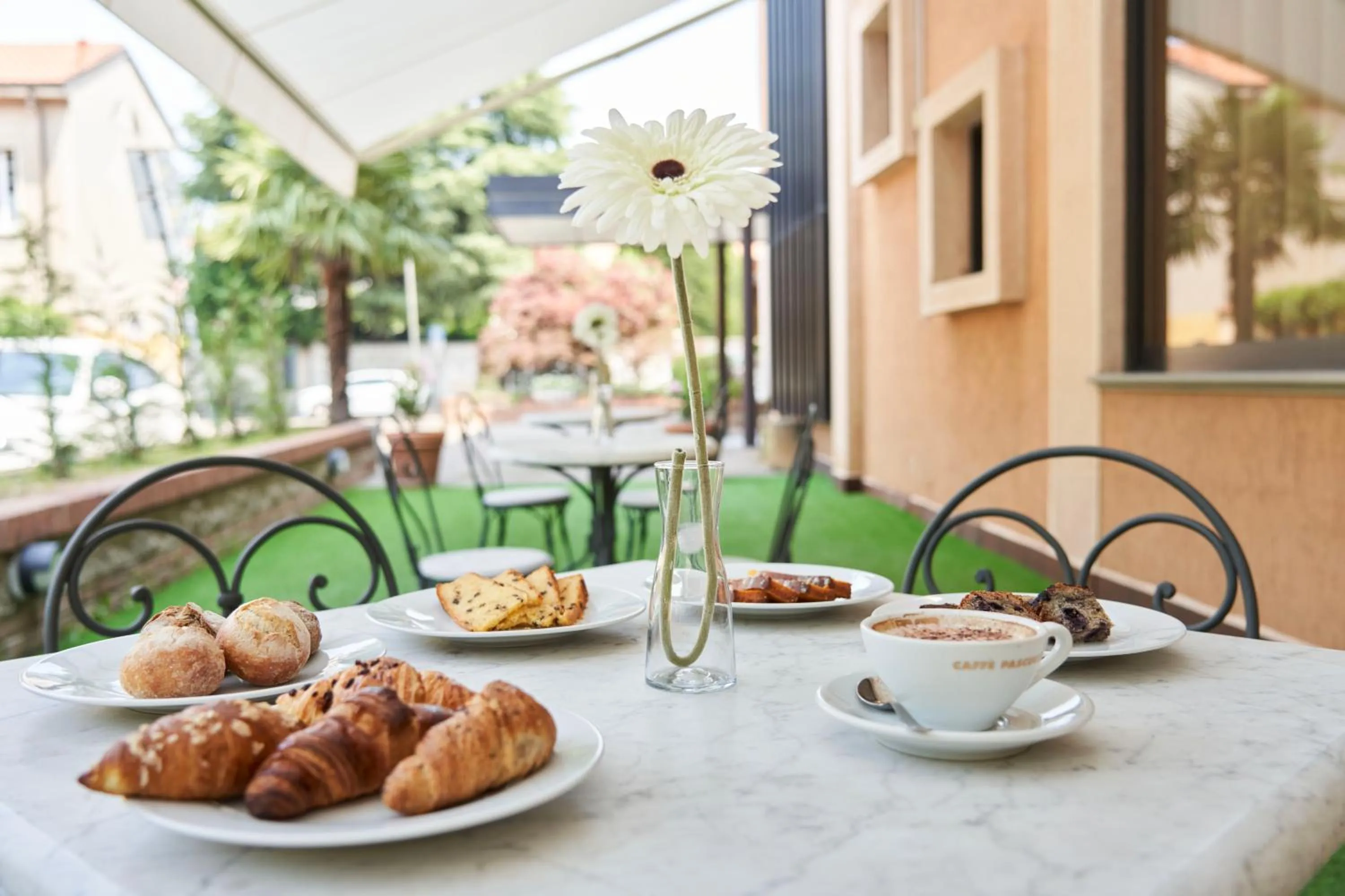Garden in Hotel Cyrano