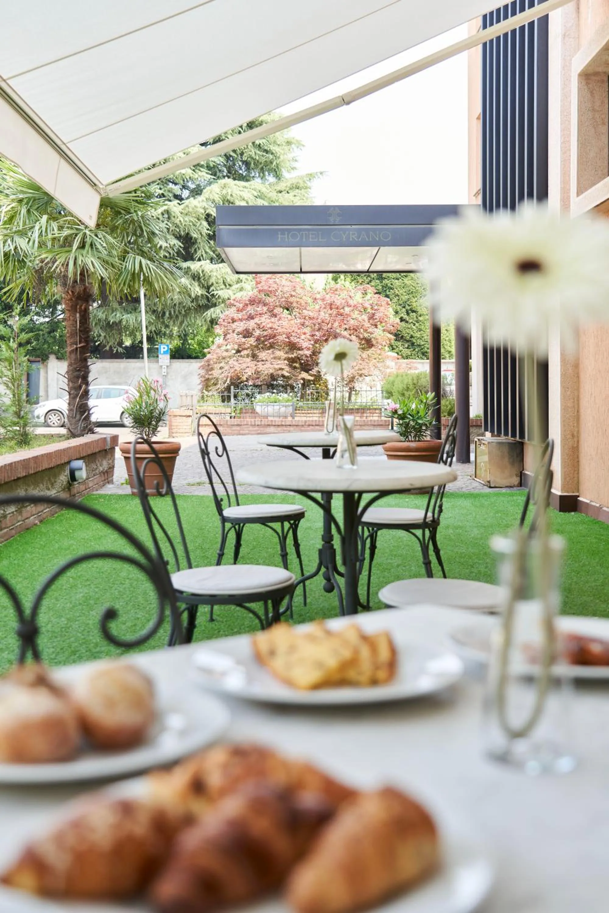 Garden in Hotel Cyrano