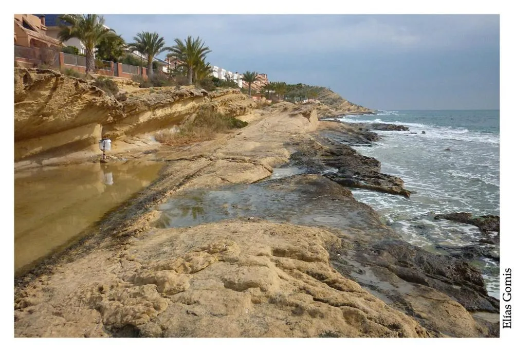 Natural landscape in Hostal Mont Royal