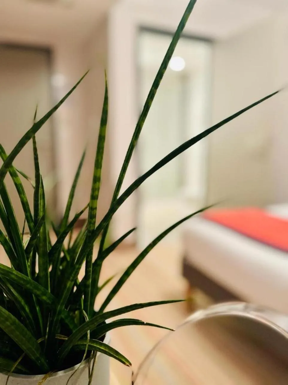 Bedroom in Au Coeur Des Bulles