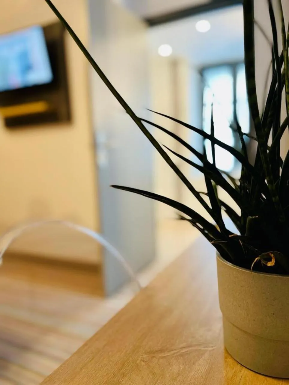 Bedroom in Au Coeur Des Bulles