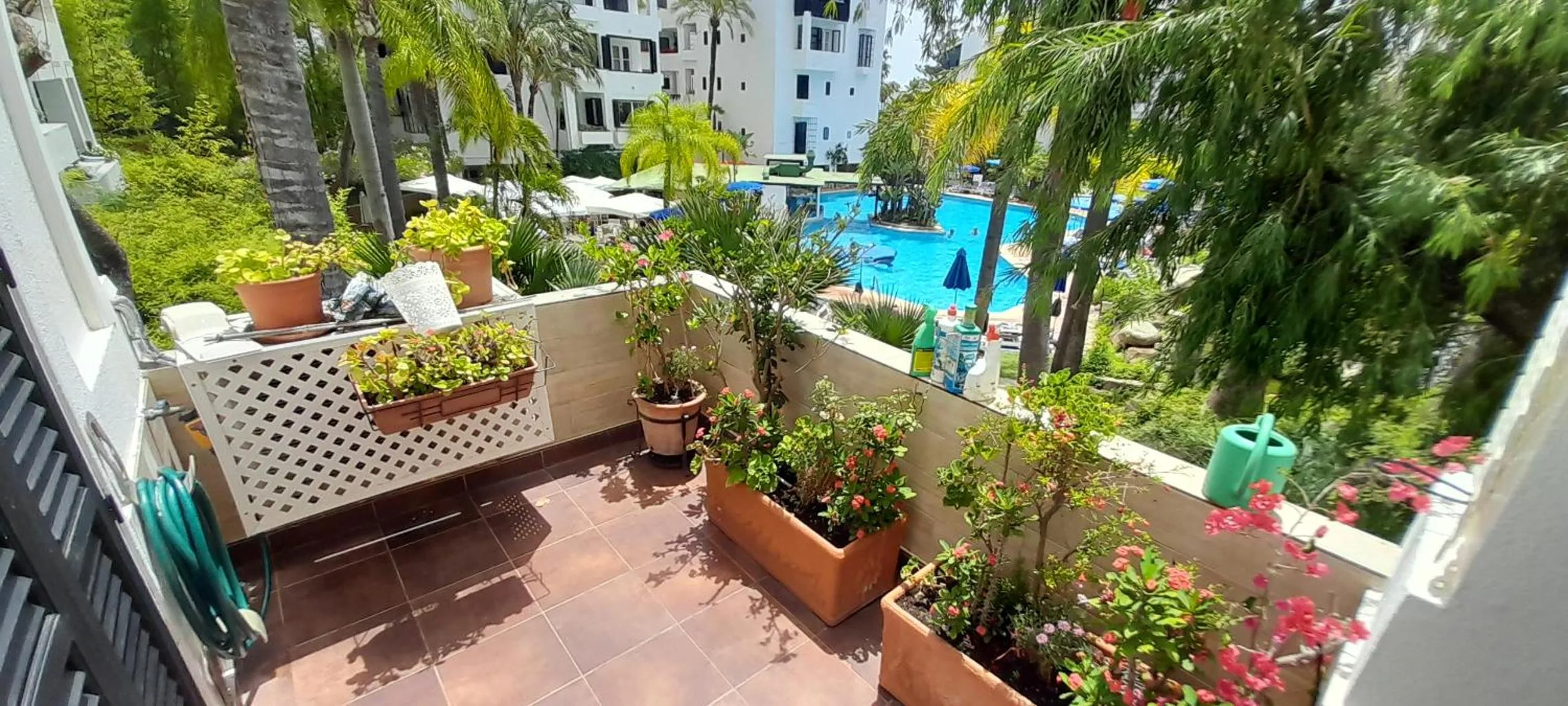 Balcony/Terrace in Jardines de las Golondrinas