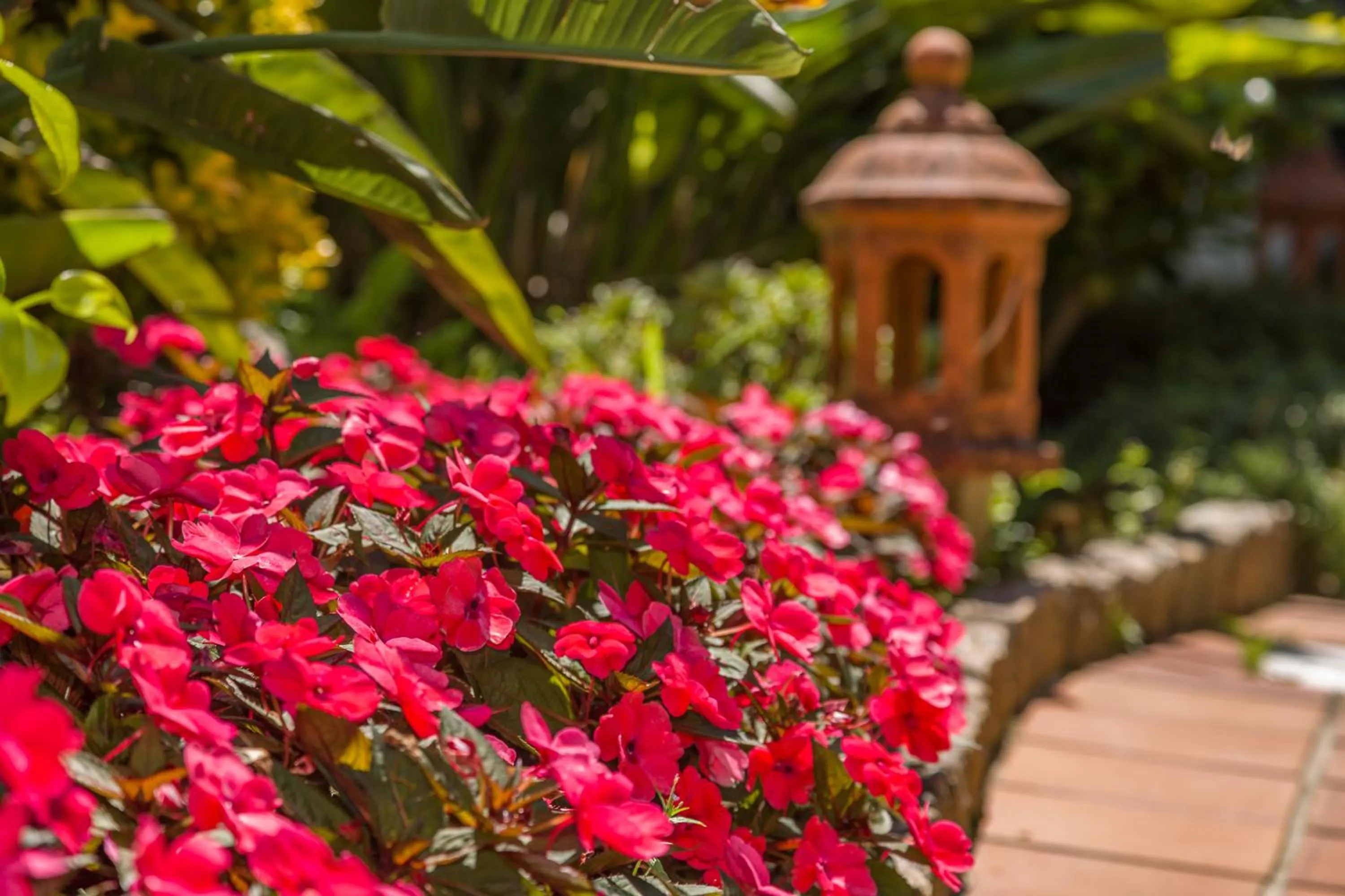 Garden in Hotel Spa Bosque mar