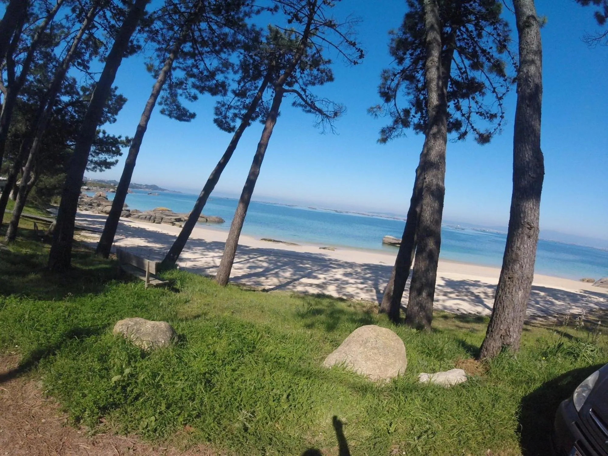 Entertainment in Hotel Spa Bosque mar