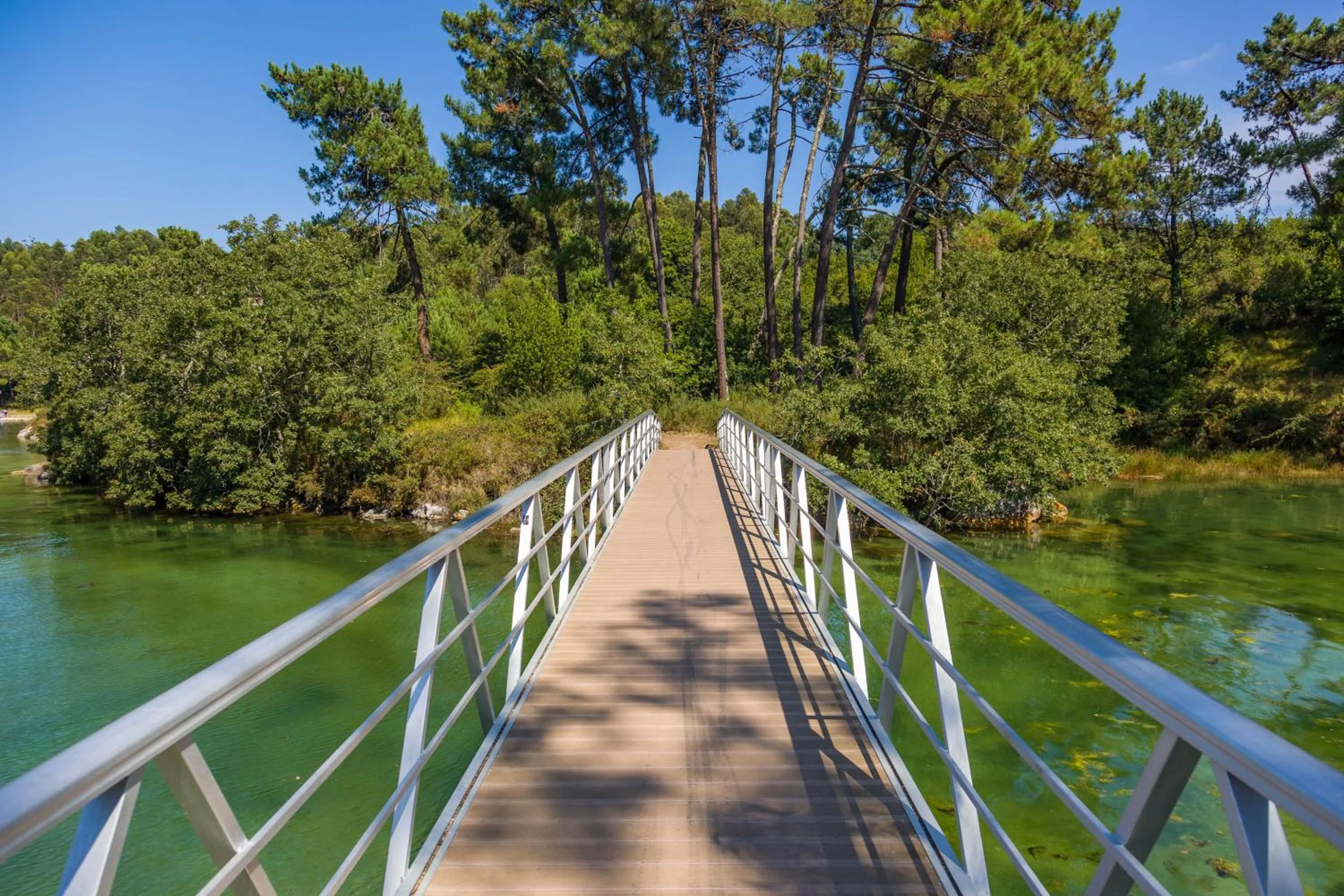 Nearby landmark in Hotel Spa Bosque mar