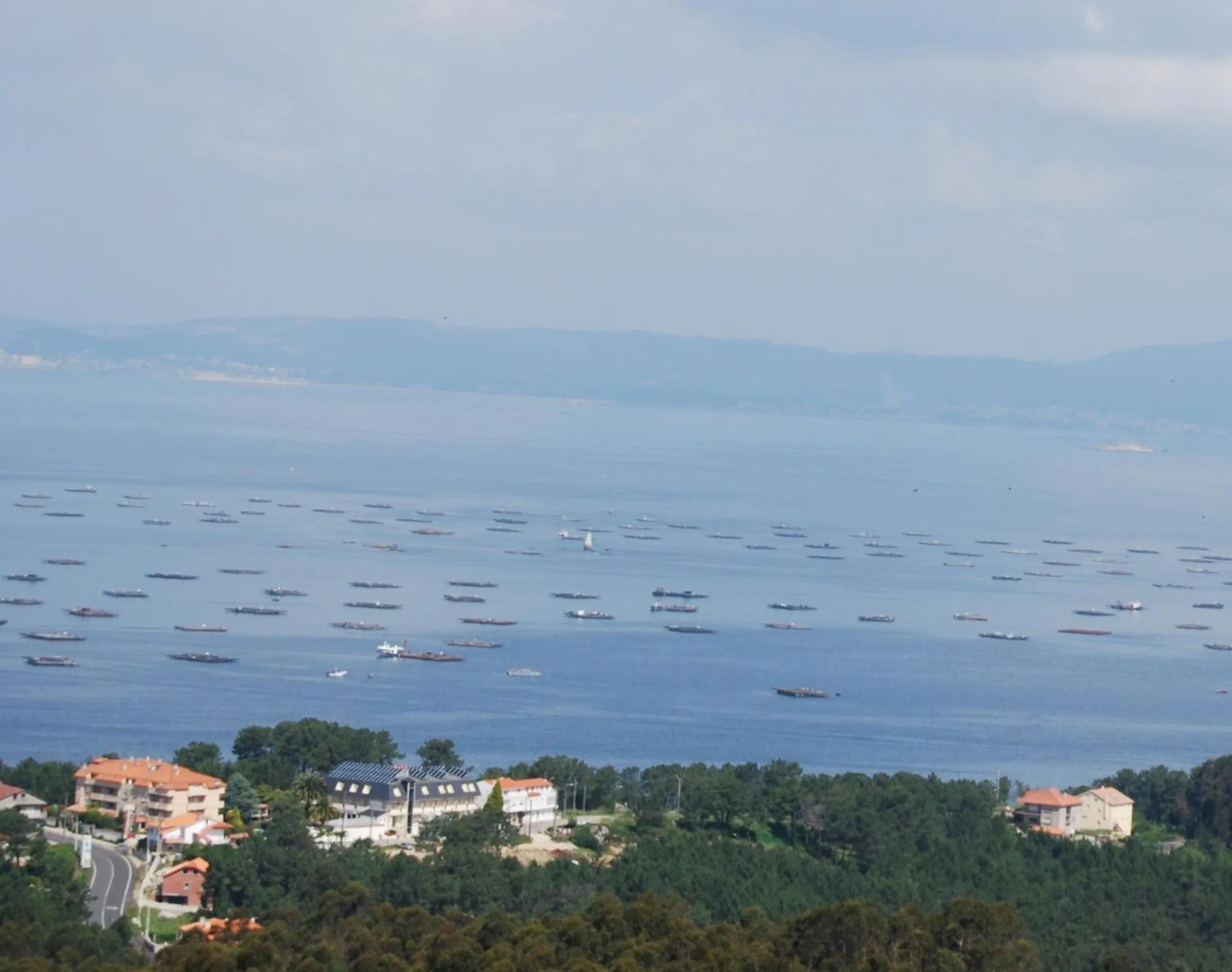 View (from property/room) in Hotel Spa Bosque mar