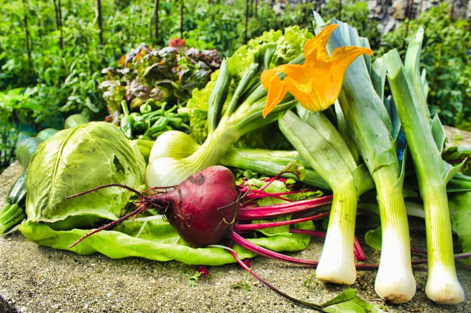 Food and drinks in Hotel Spa Bosque mar