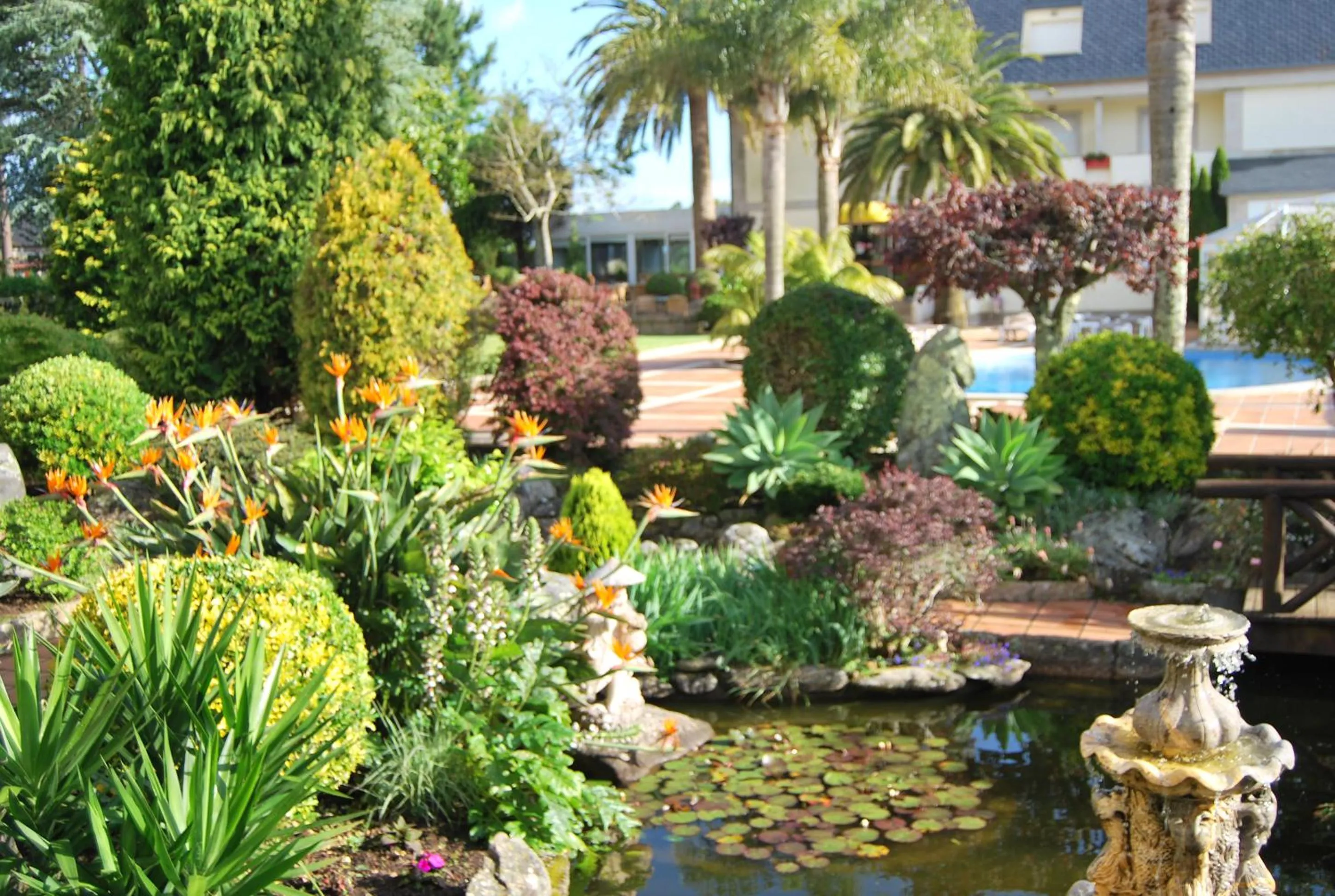 Garden in Hotel Spa Bosque mar