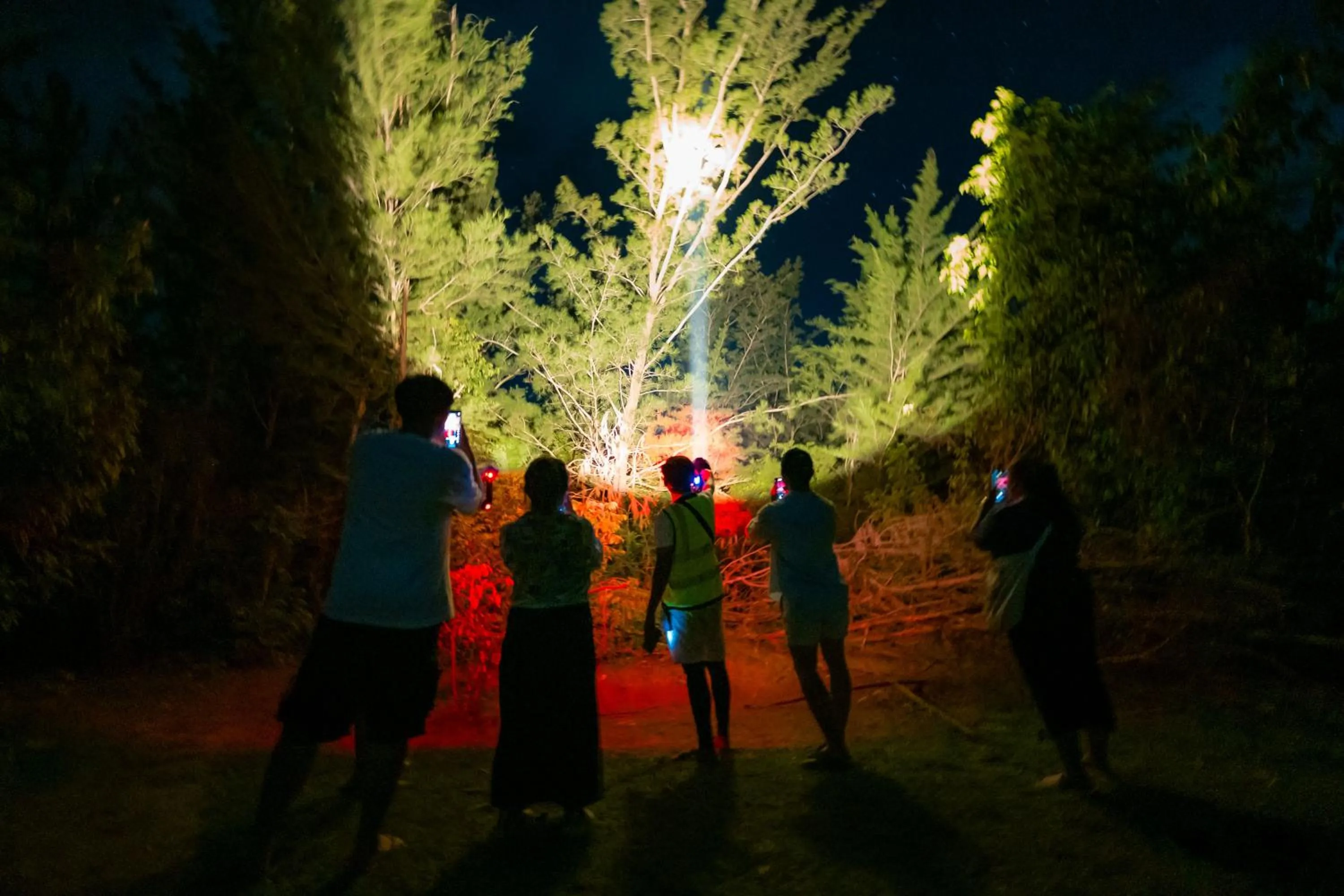 Activities in JSK Mantanani Island Resorts