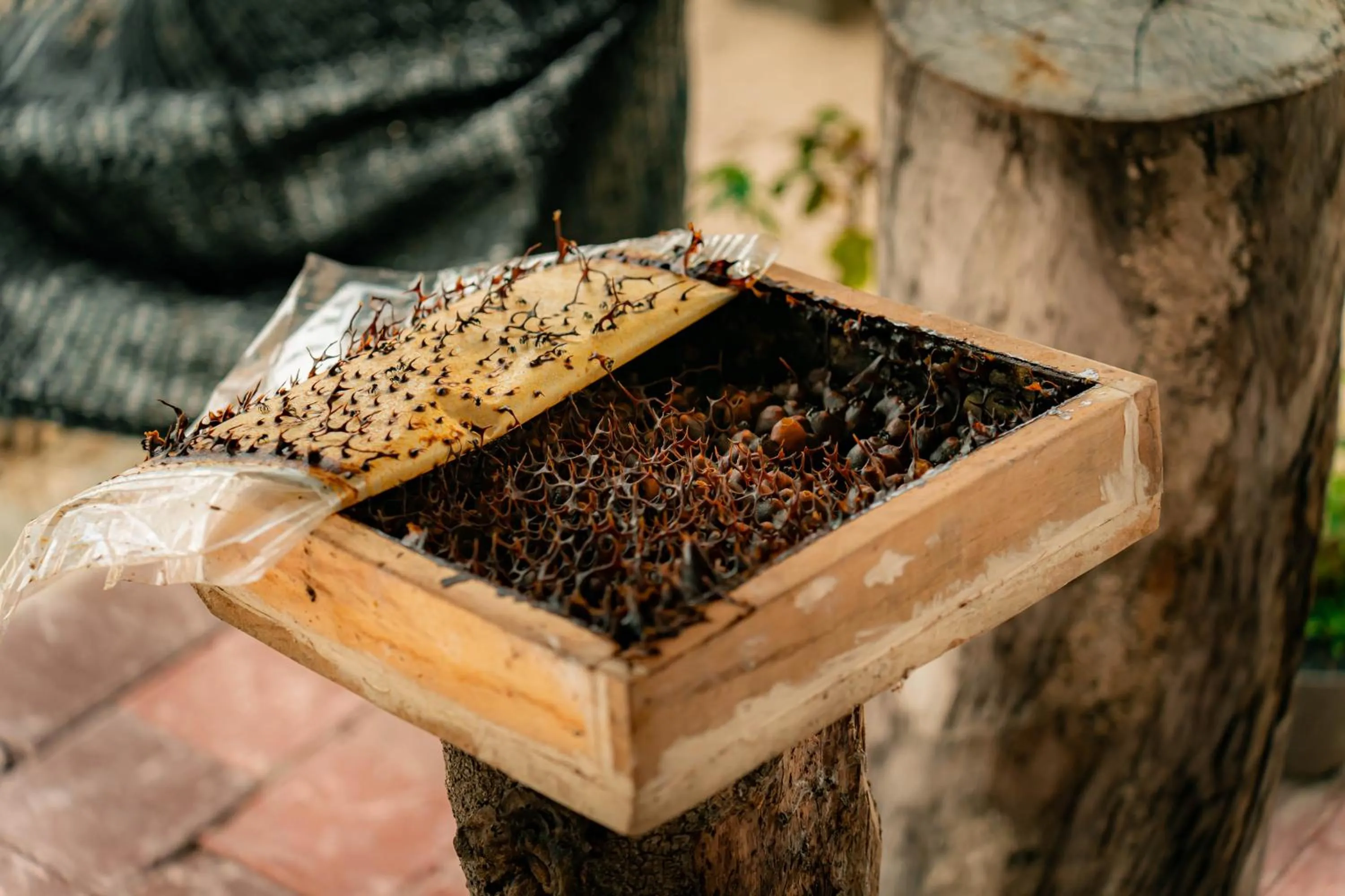 JSK Mantanani Island Resorts