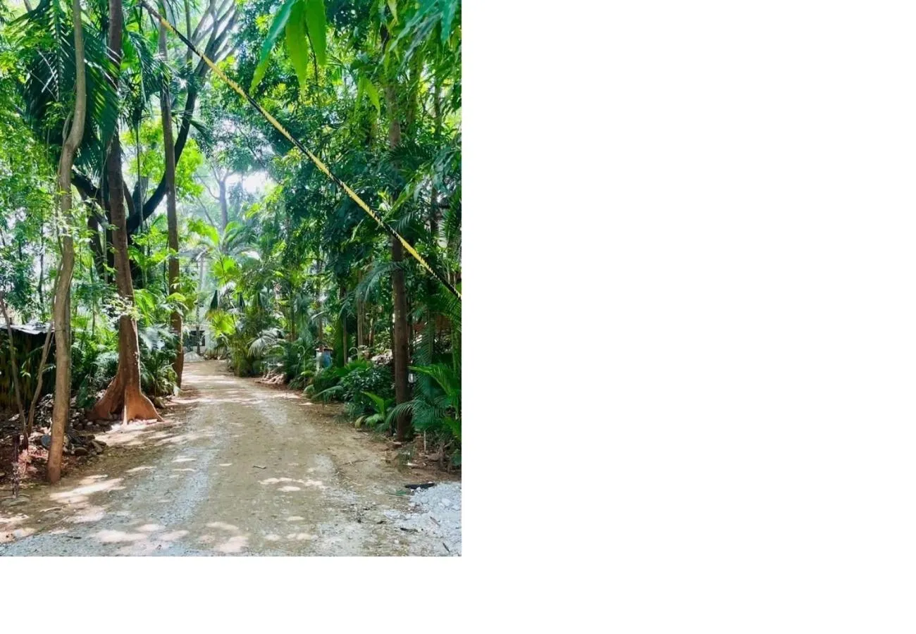 Garden in Advaitha Serenity Resorts