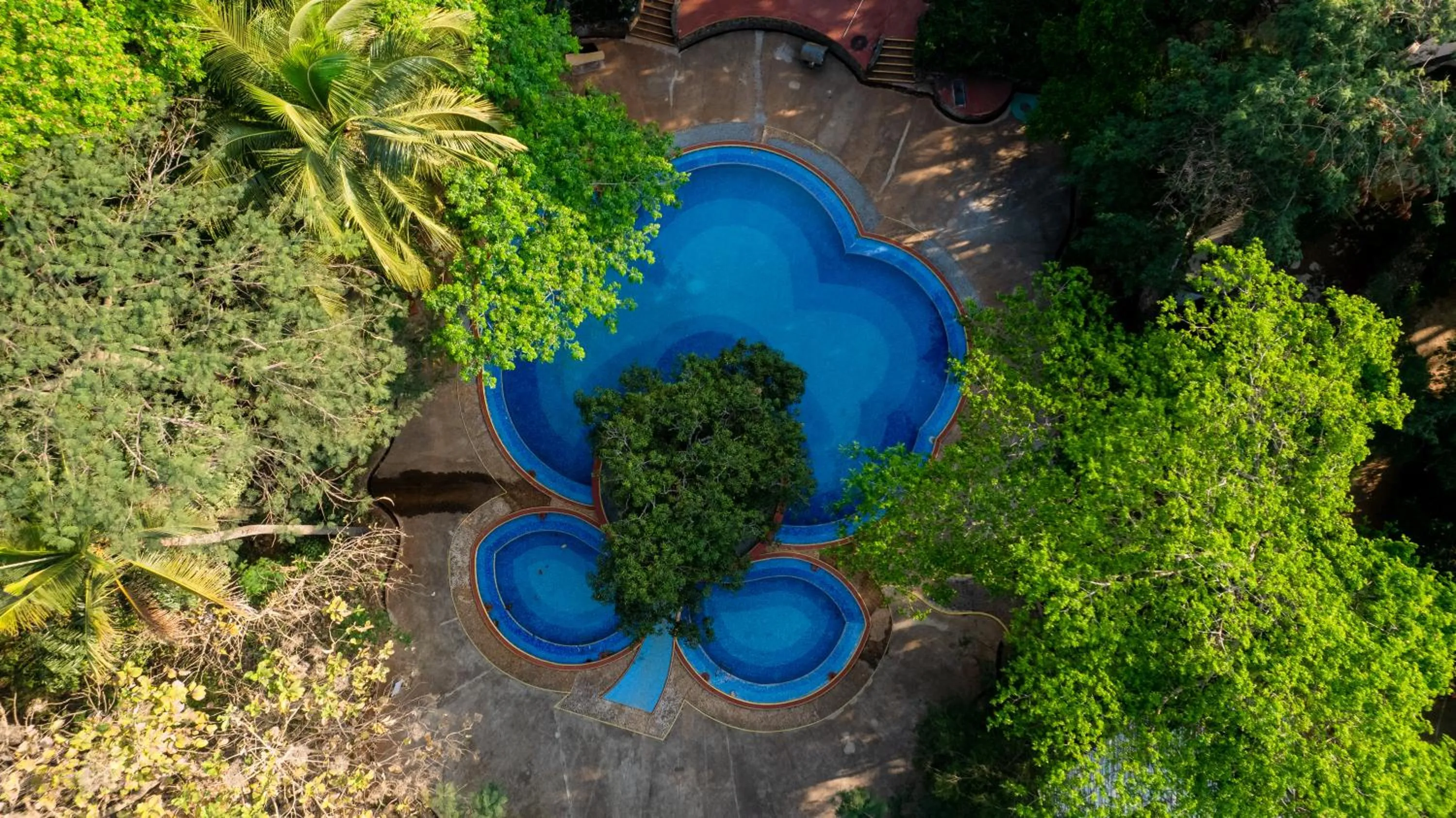 Natural landscape in Advaitha Serenity Resorts