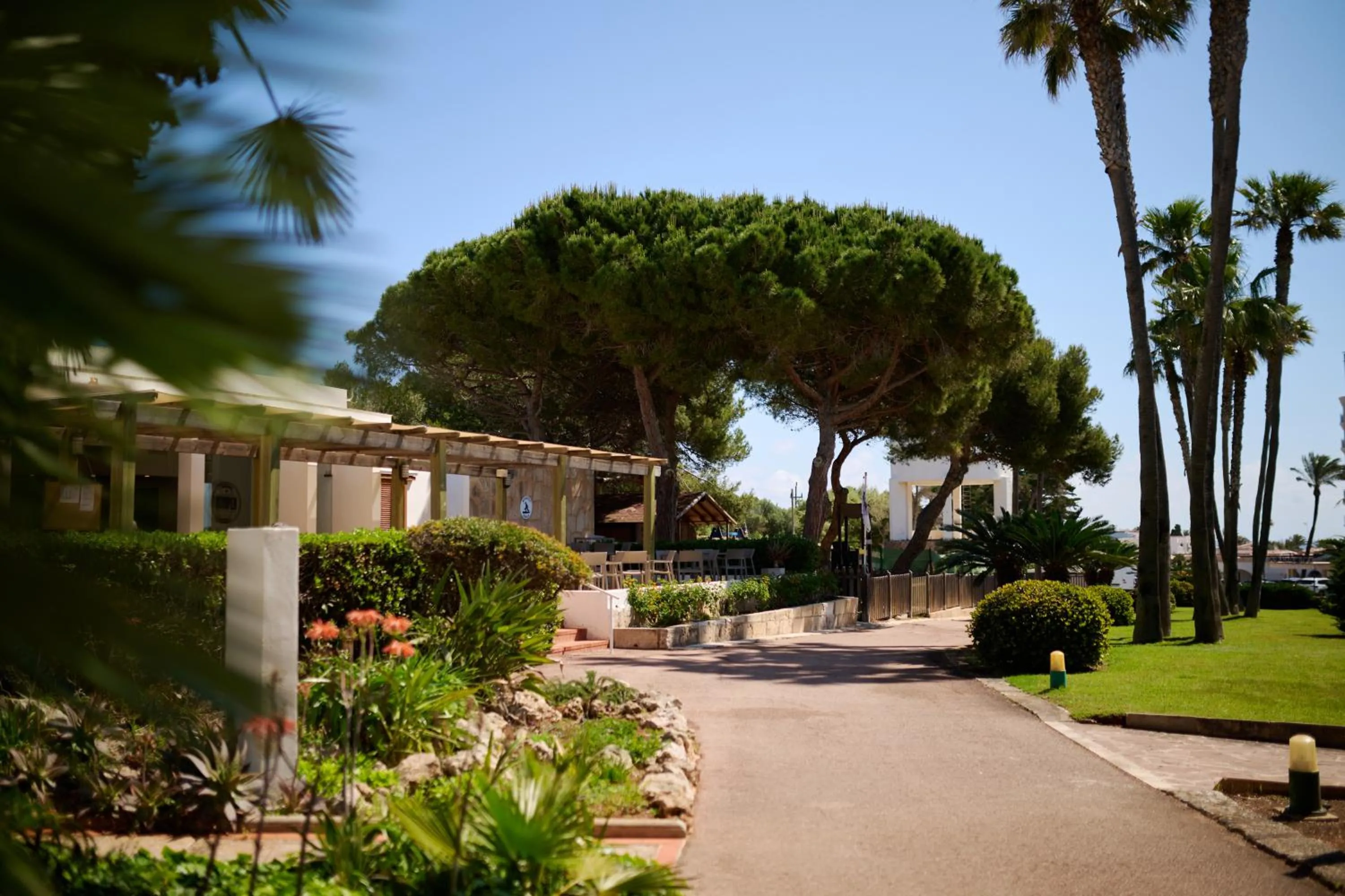 Lounge or bar in Alua Illa de Menorca
