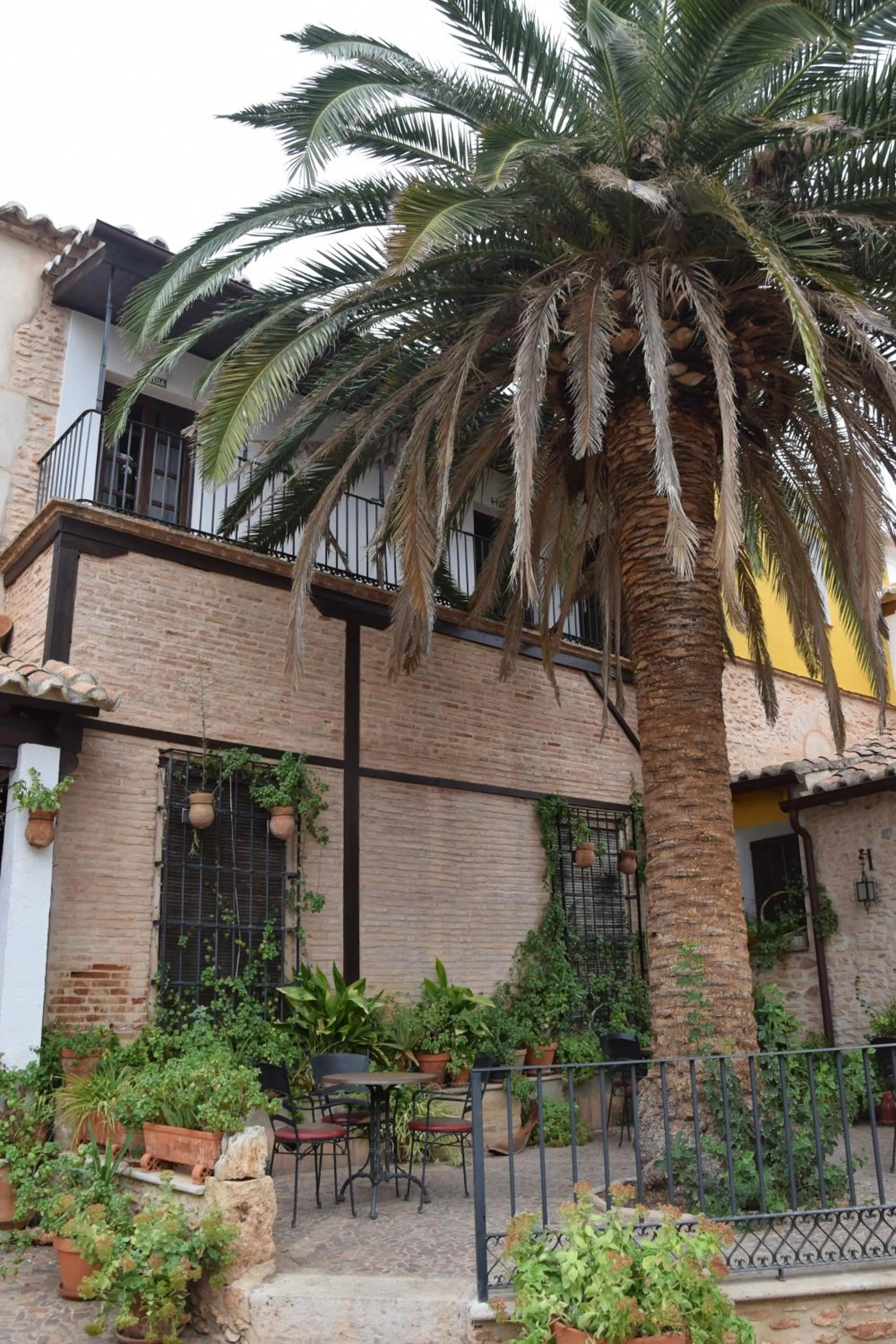 Garden in Hospedium Palacio del Gobernador