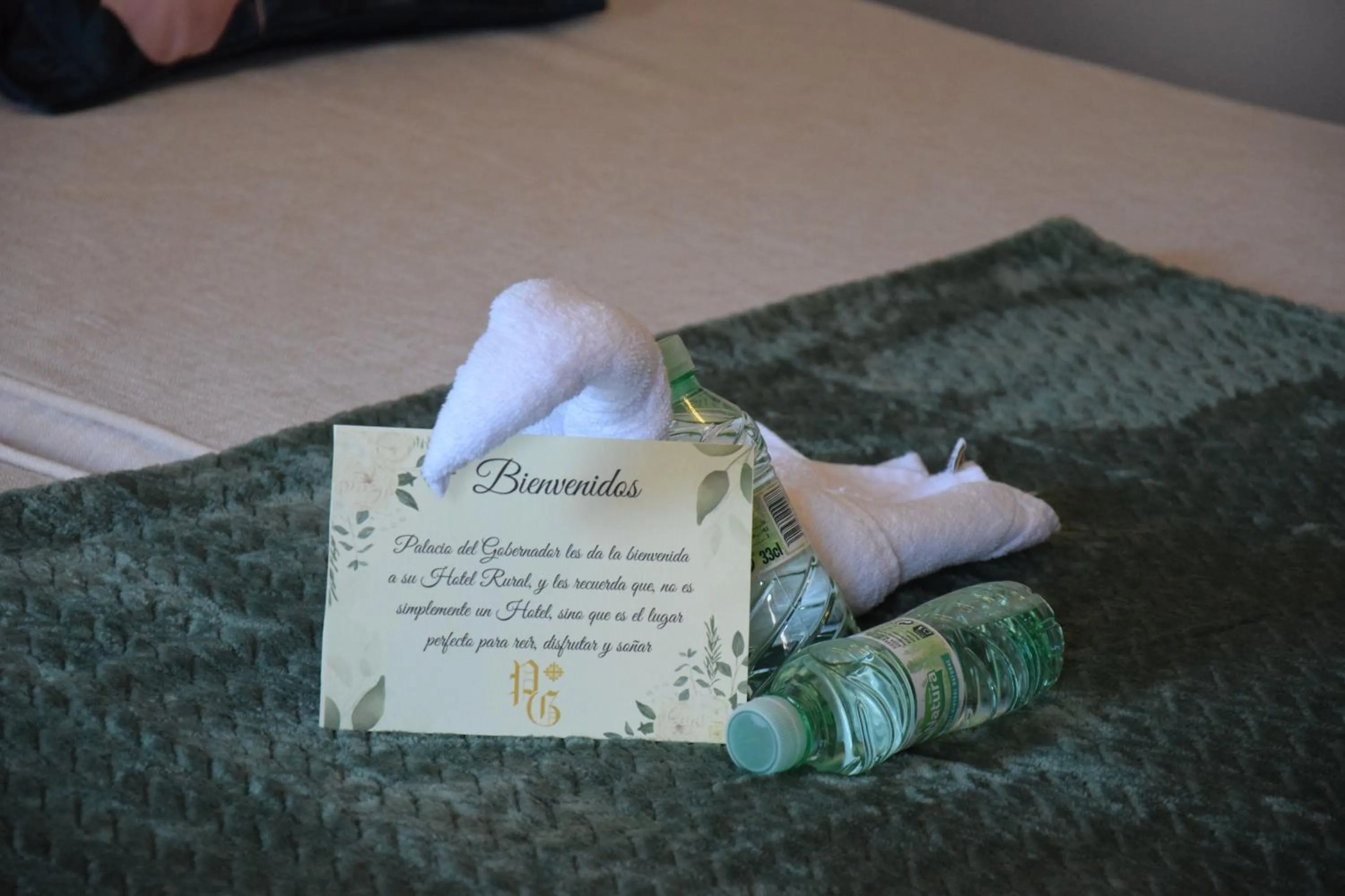 Decorative detail, Bed in Hospedium Palacio del Gobernador