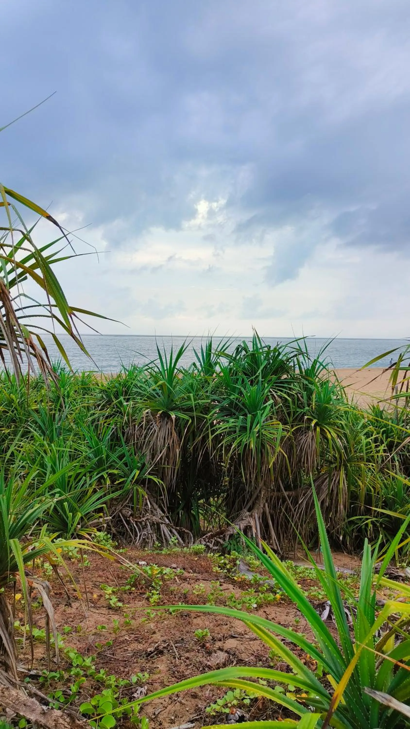 Unearth Hostel (Pondicherry)