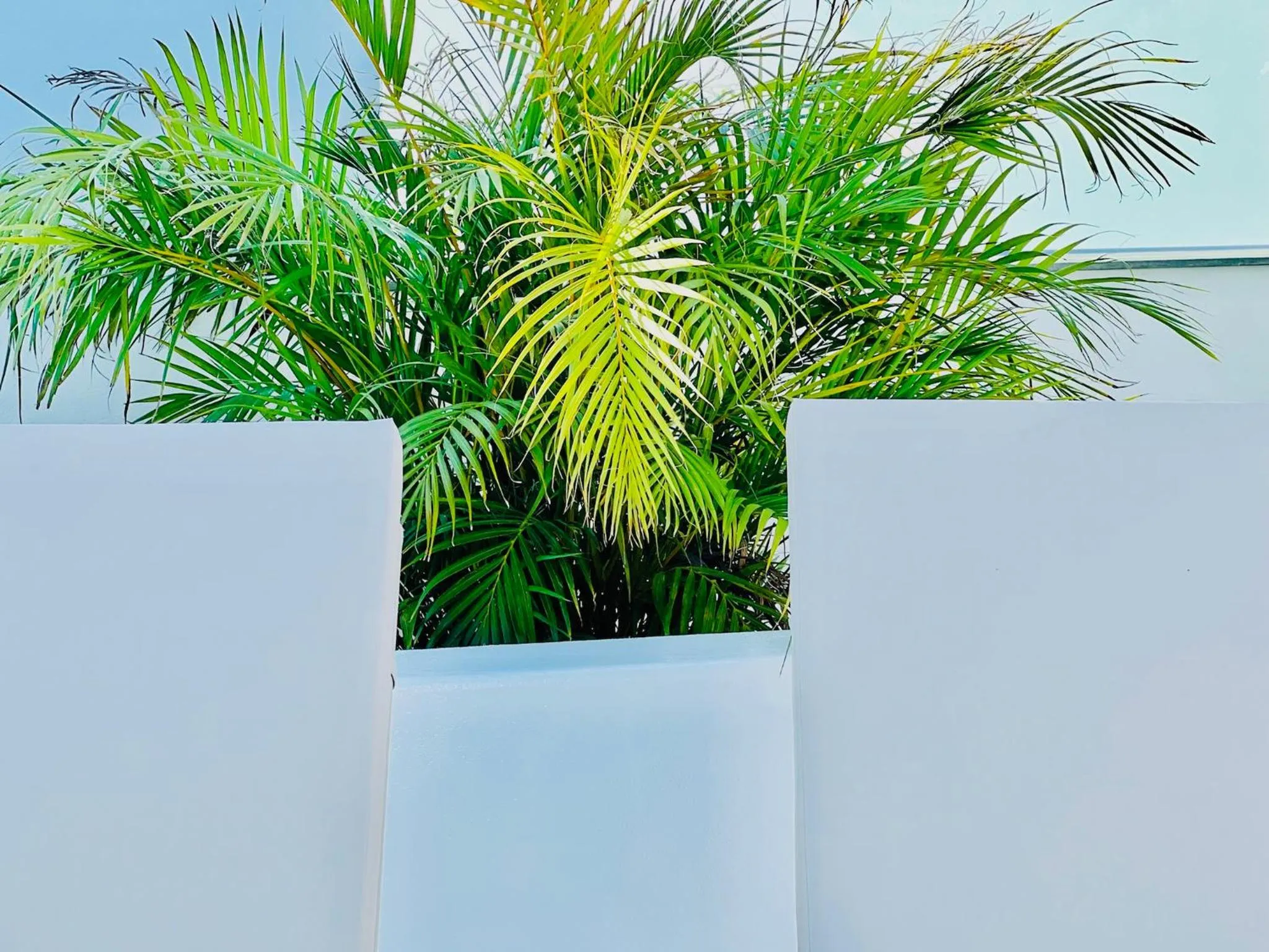 Garden in CIH Apartments