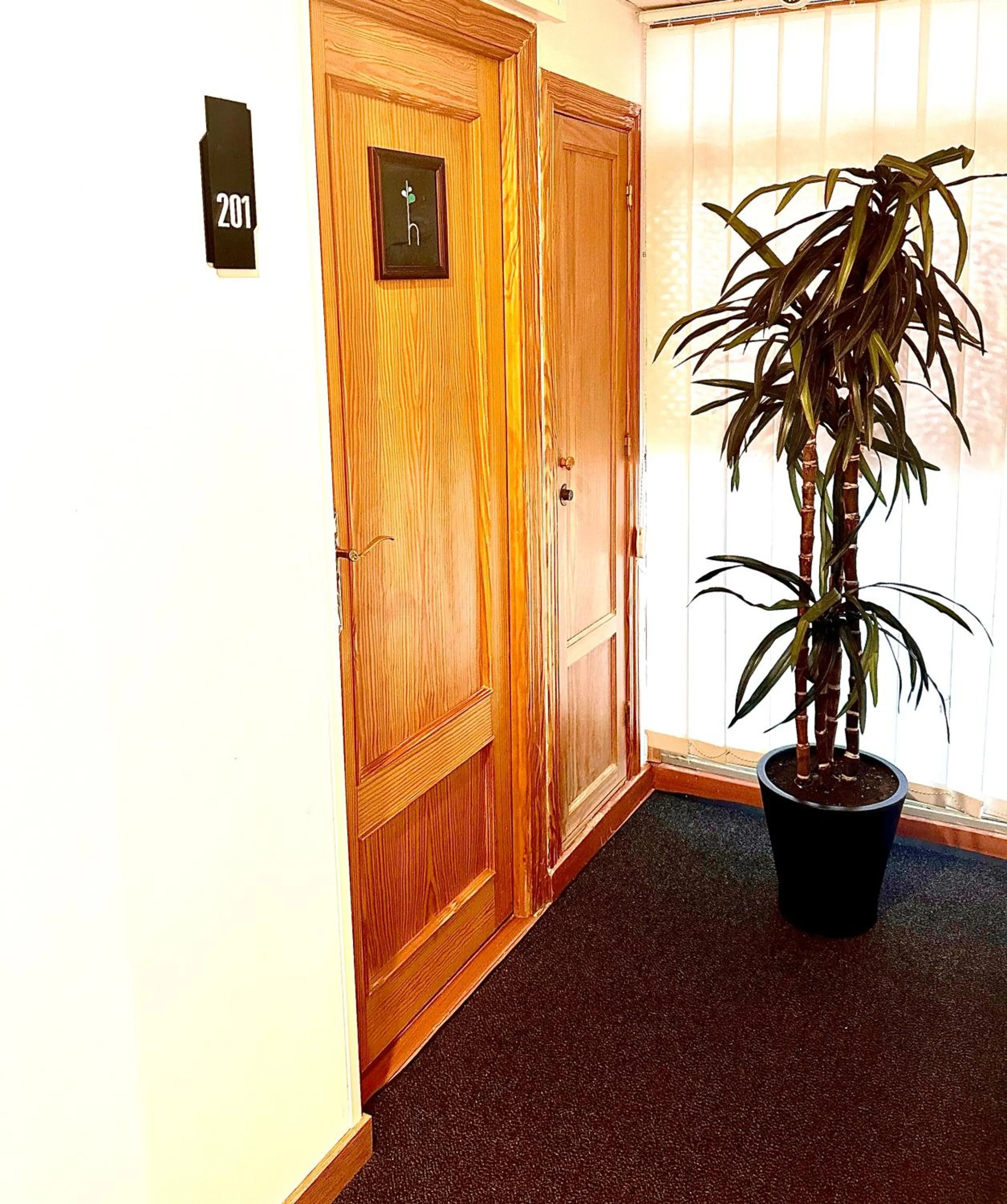 Area and facilities in Arriadh