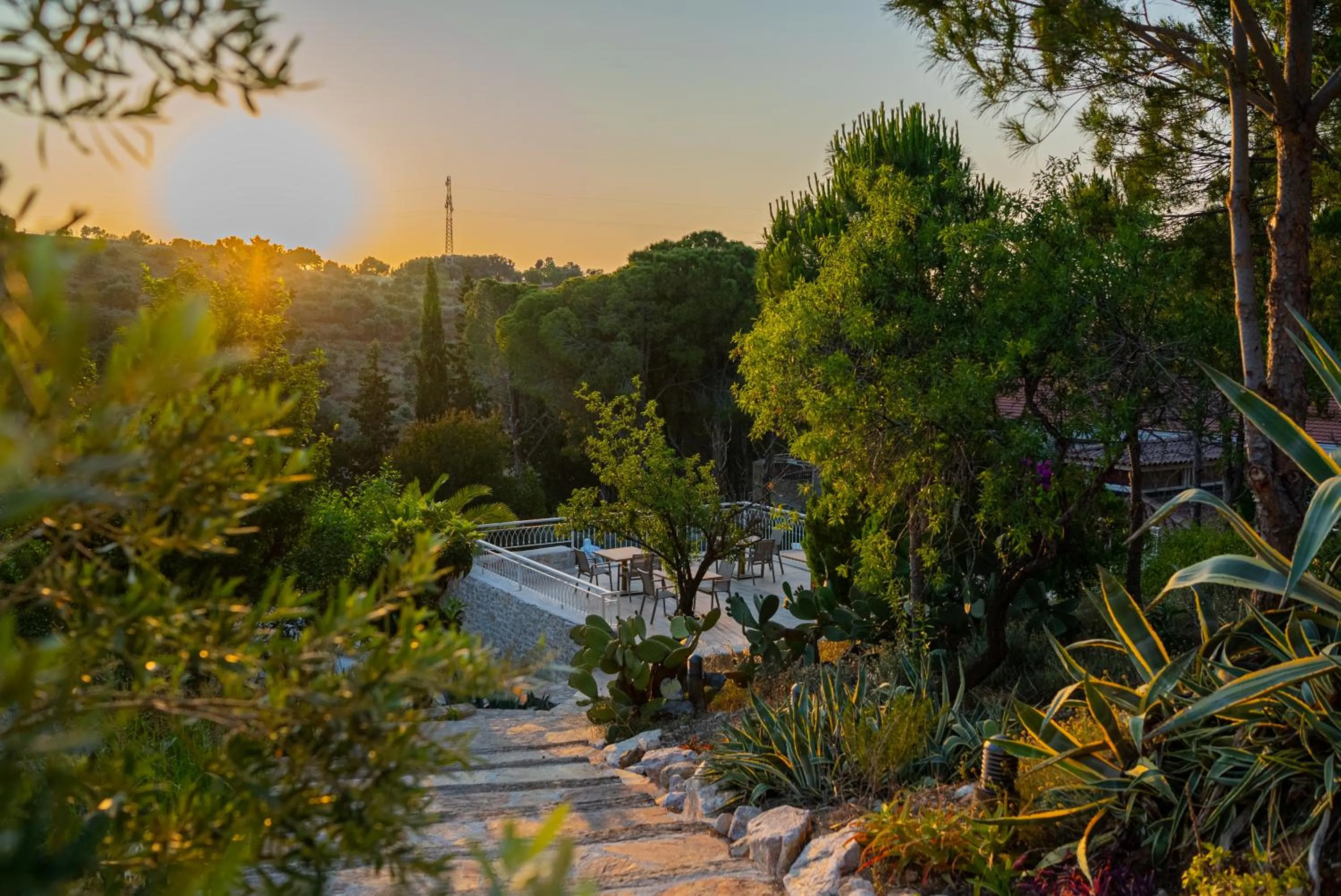 Kairos Valley Wellness & Longevity