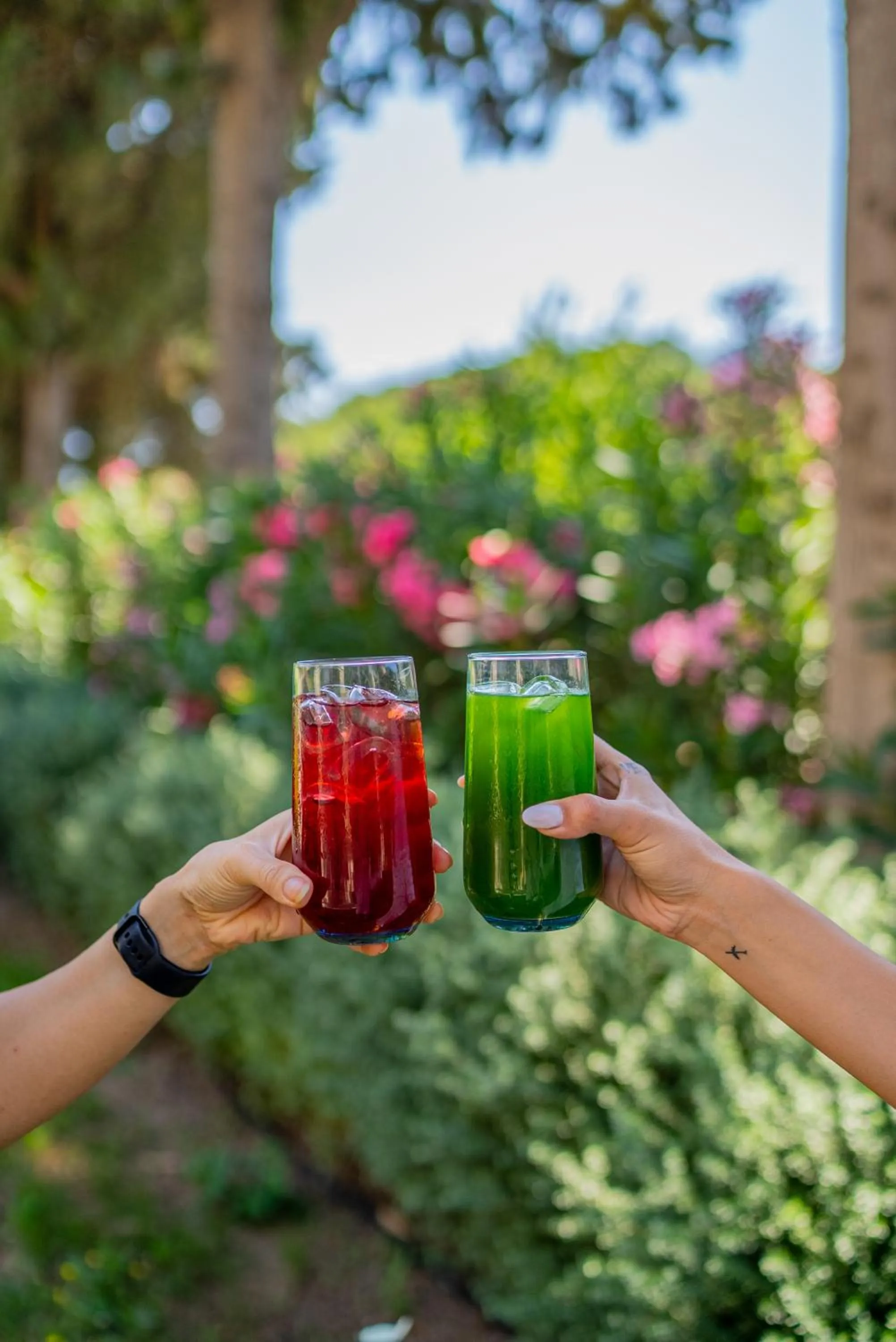 Non alcoholic drinks in Kairos Valley Wellness & Longevity