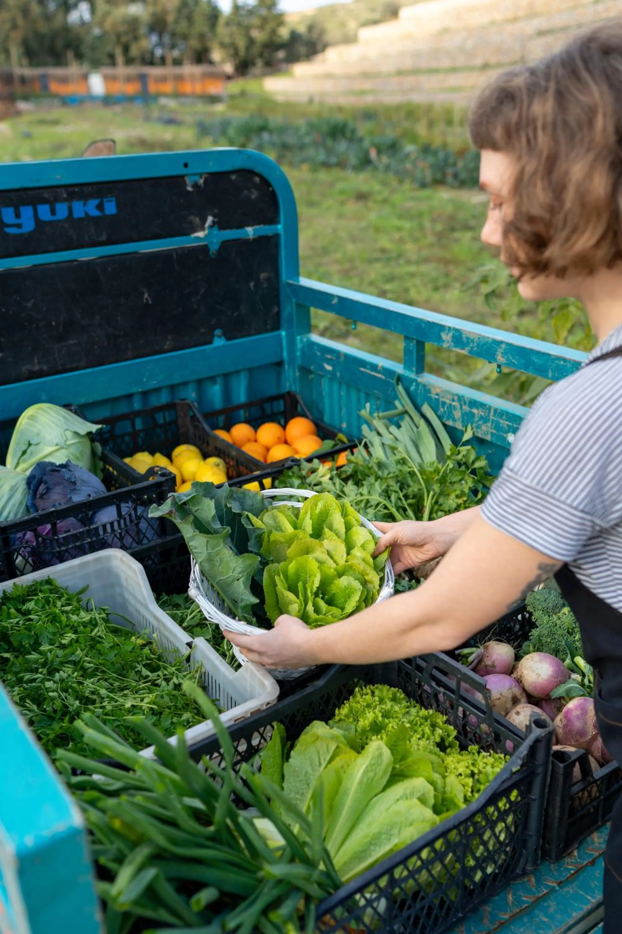 Kairos Valley Wellness & Longevity