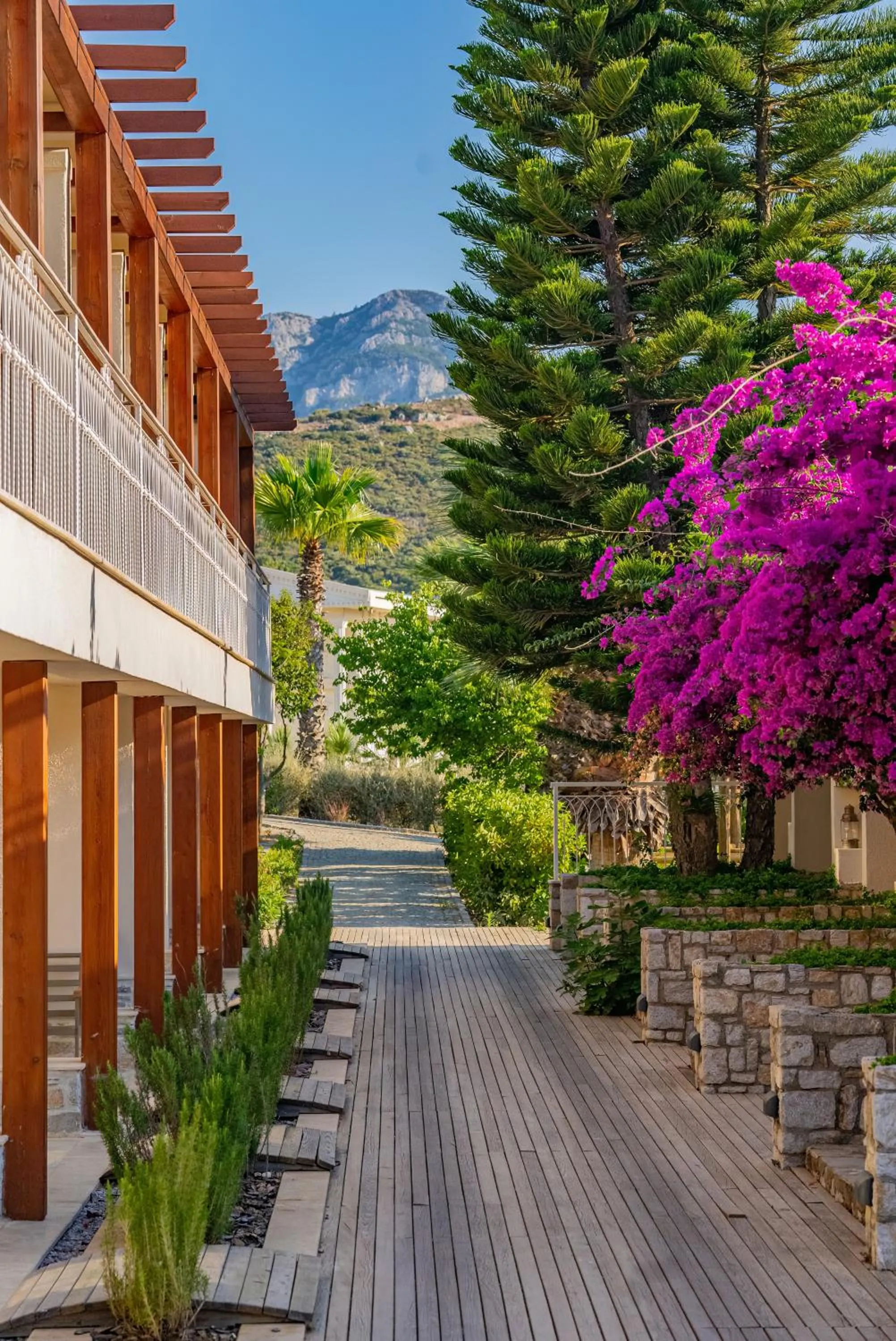 Natural landscape in Kairos Valley Wellness & Longevity