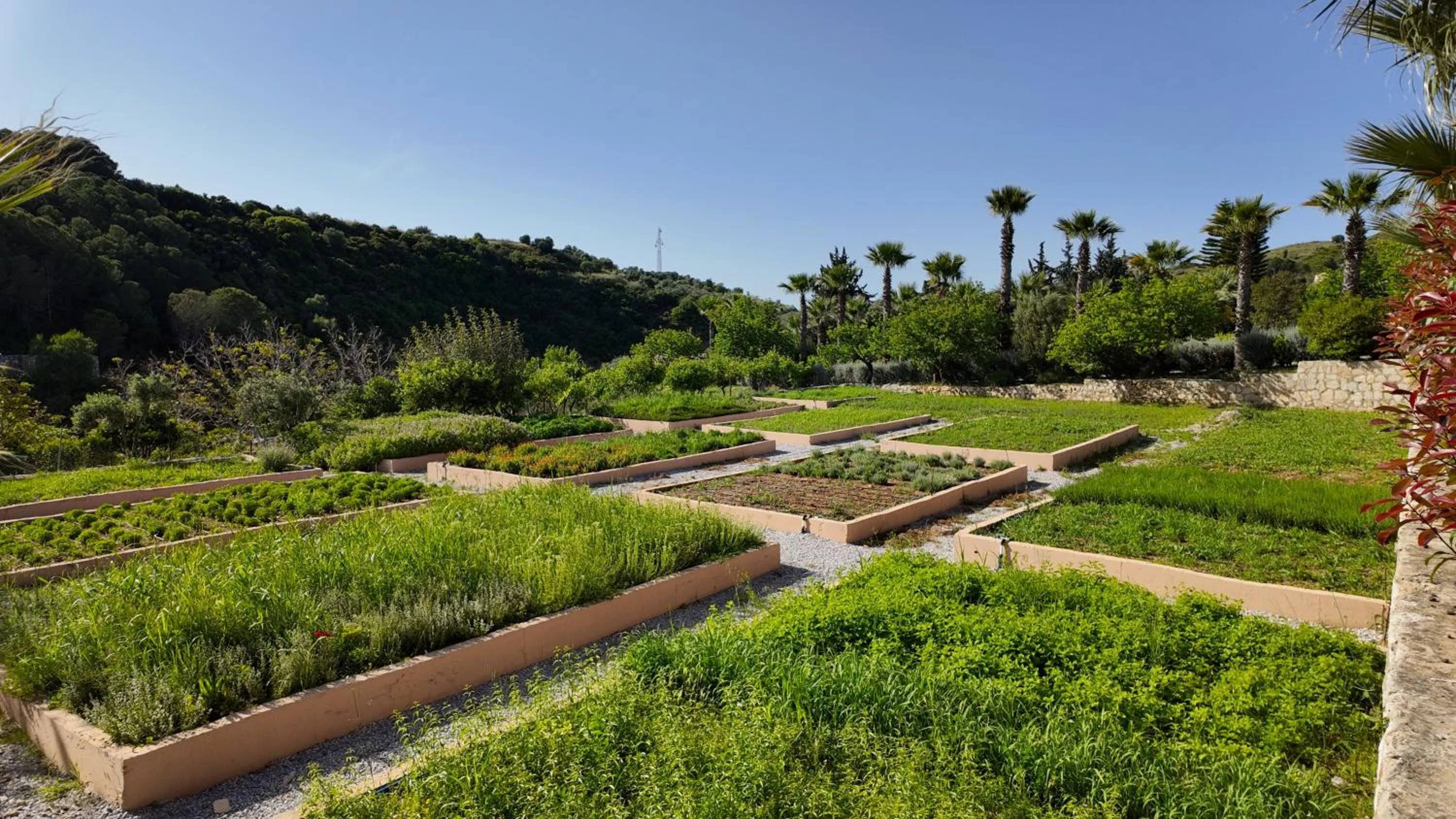Kairos Valley Wellness & Longevity