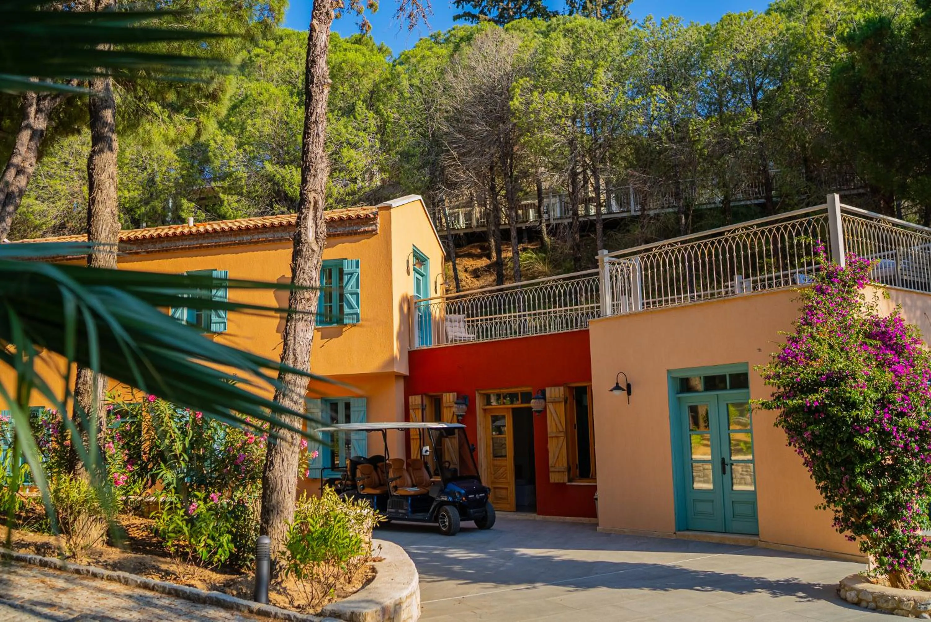 Kairos Valley Wellness & Longevity