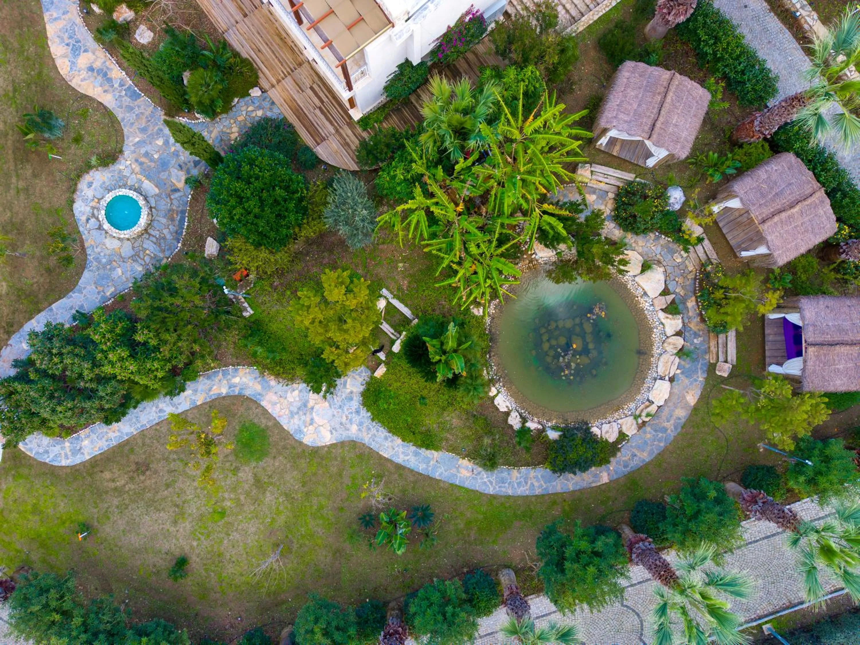 Kairos Valley Wellness & Longevity