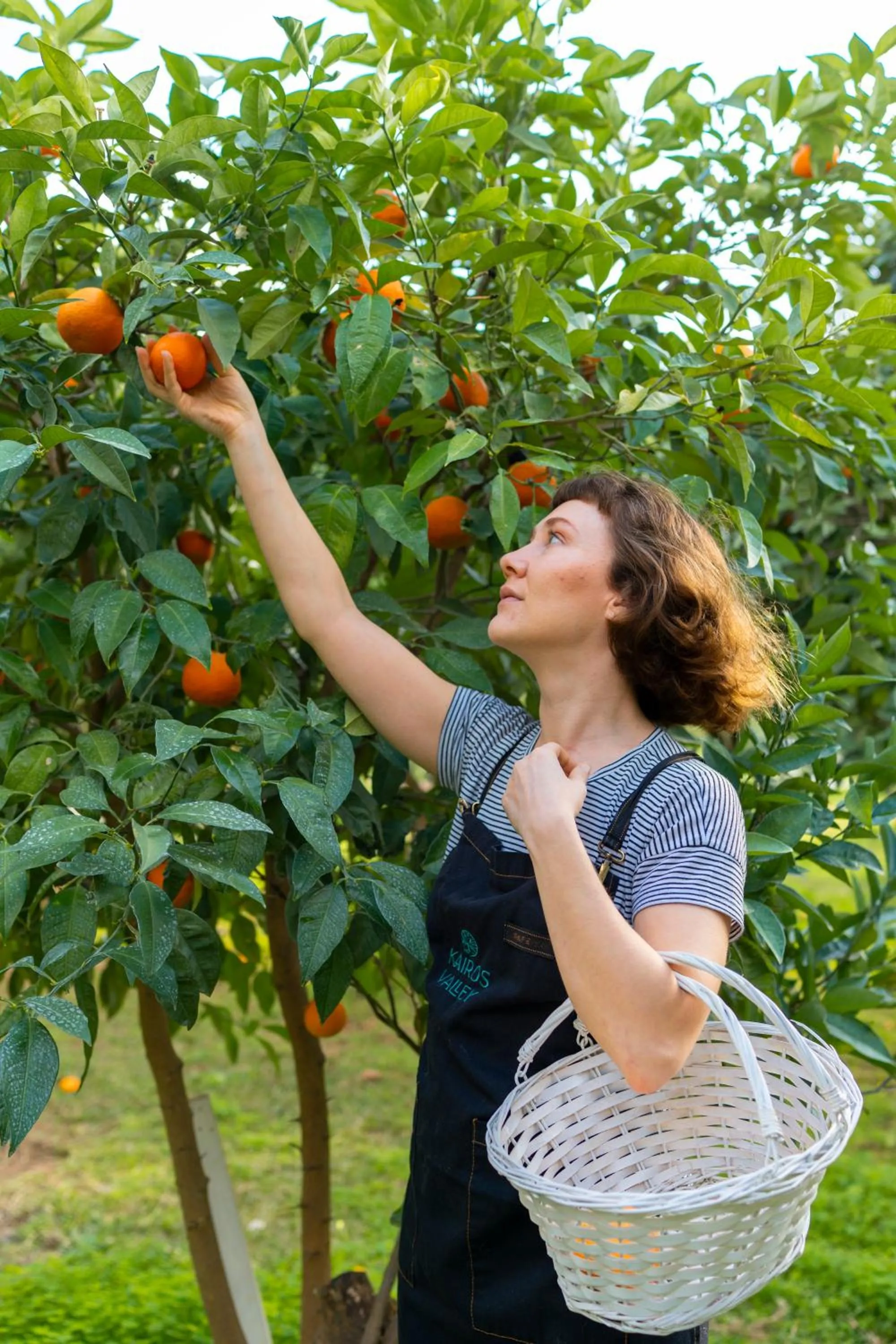 Kairos Valley Wellness & Longevity