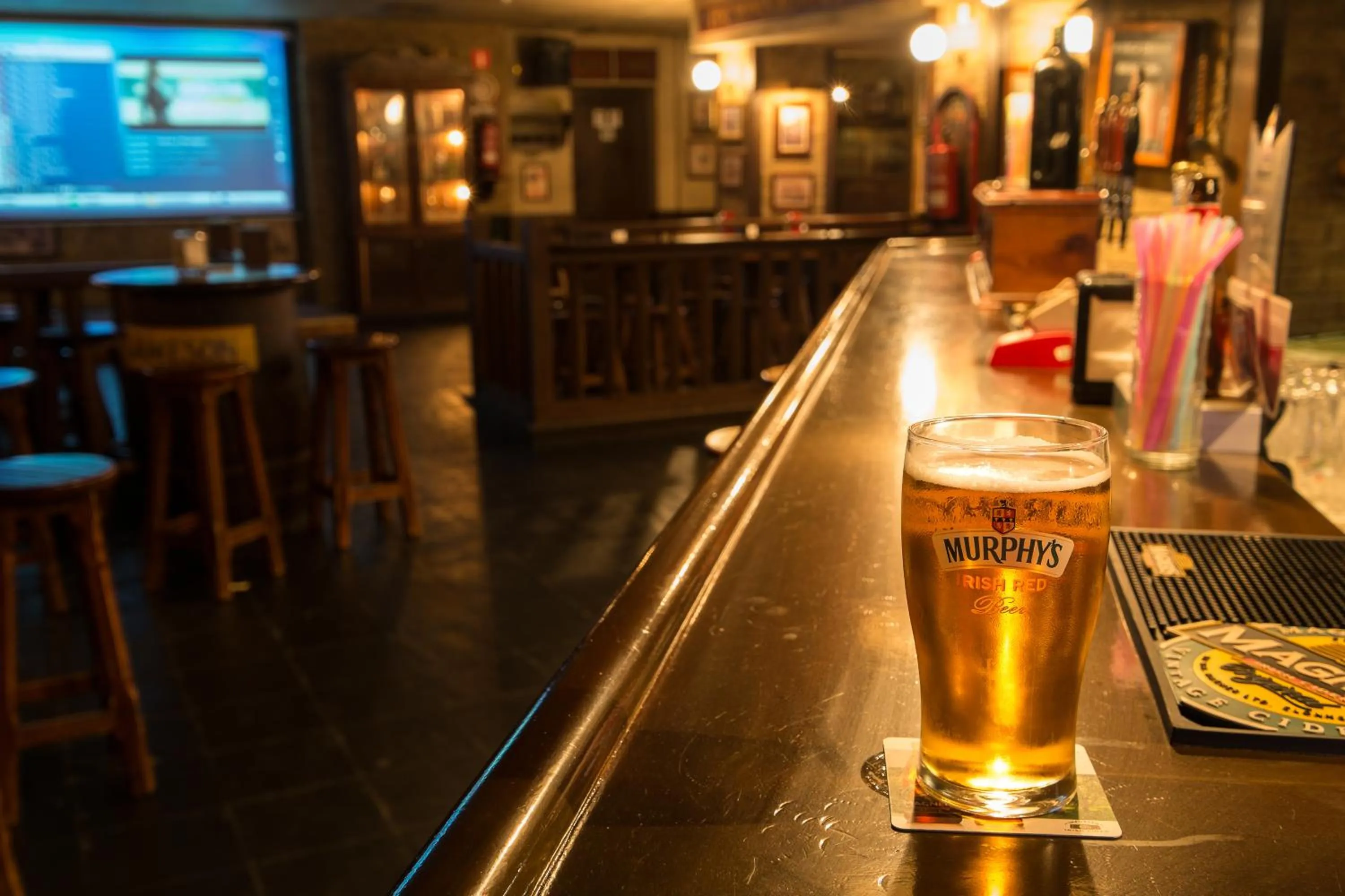 Lounge or bar in Toboso Apar - Turis