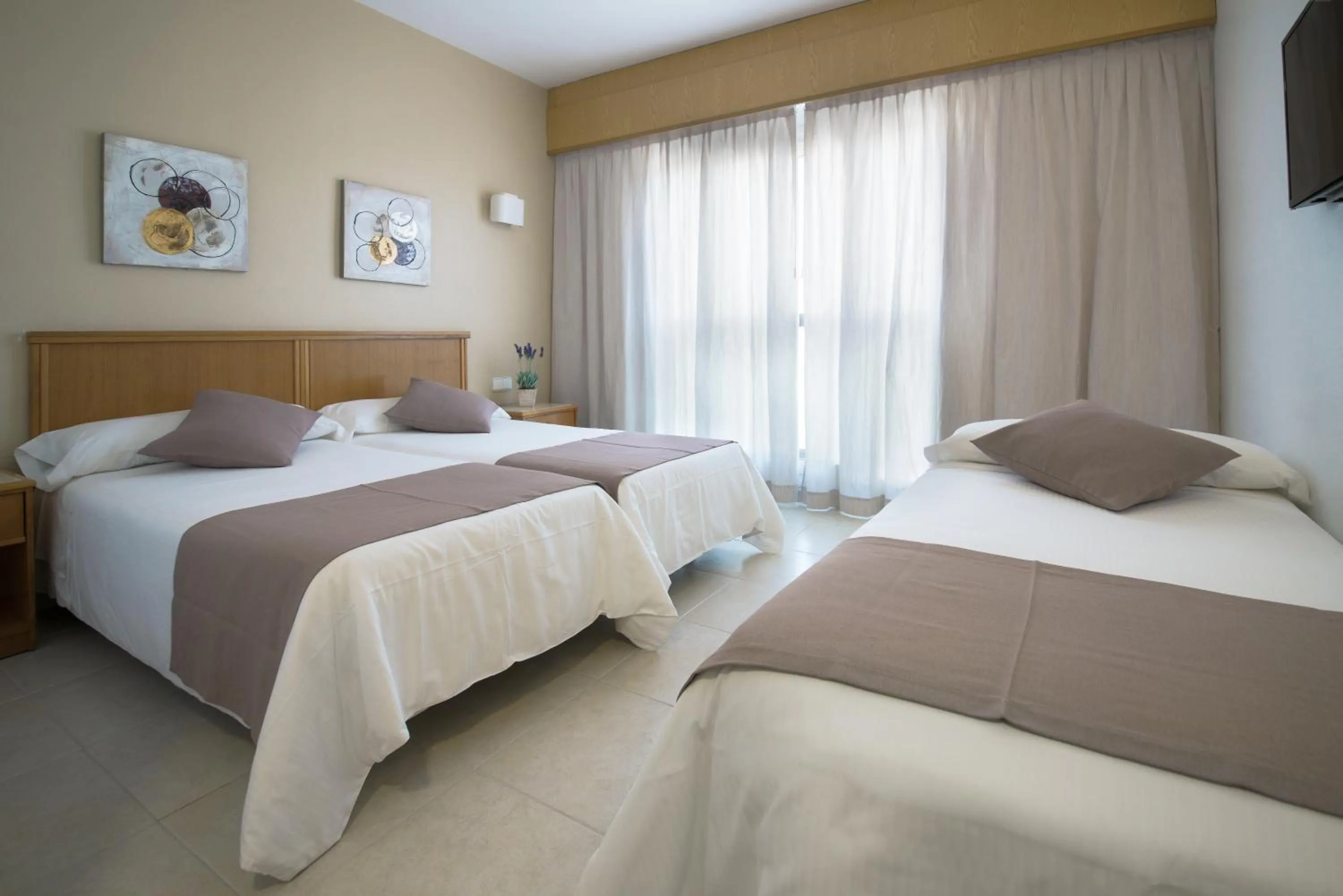 Photo of the whole room in Hotel Albatros