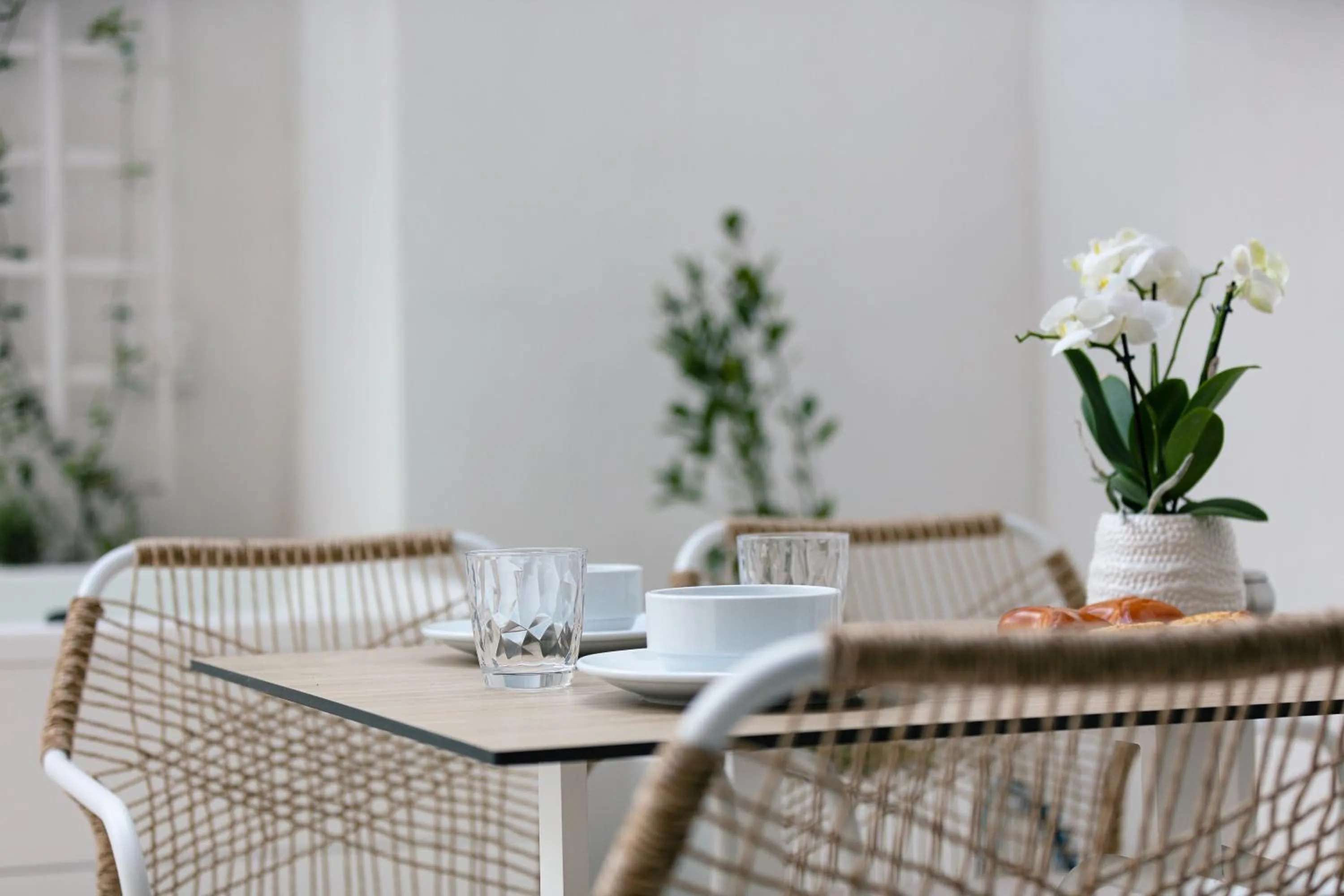 Food and drinks in Porta Suites