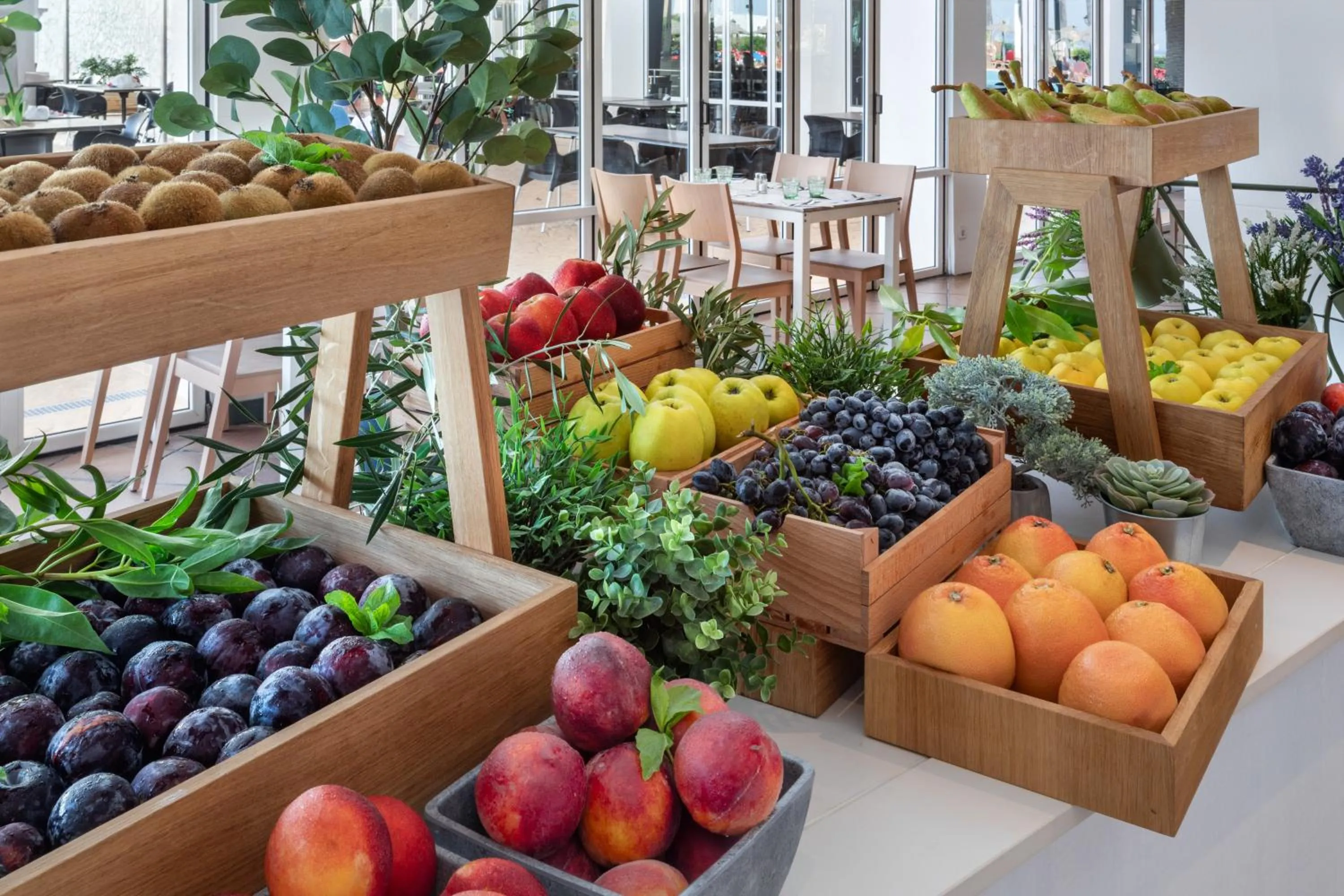 Food in Sol Milanos Pingüinos