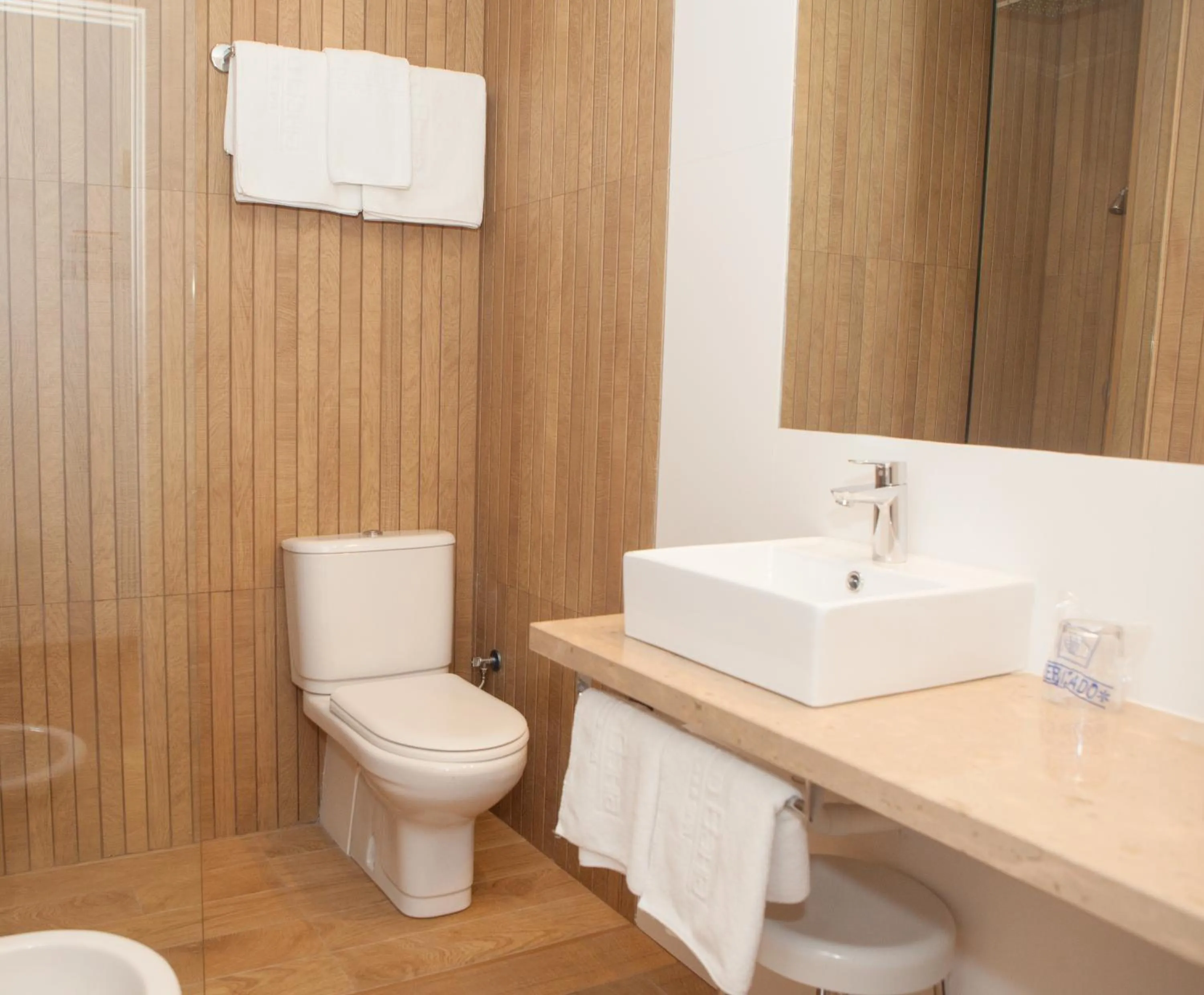 Toilet in Hotel Puerto Bahía & Spa