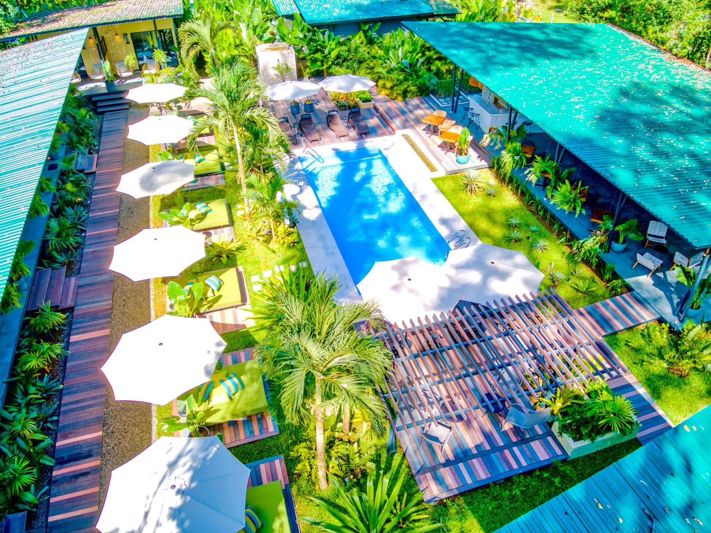 Swimming pool in Exōtico Beach Hotel