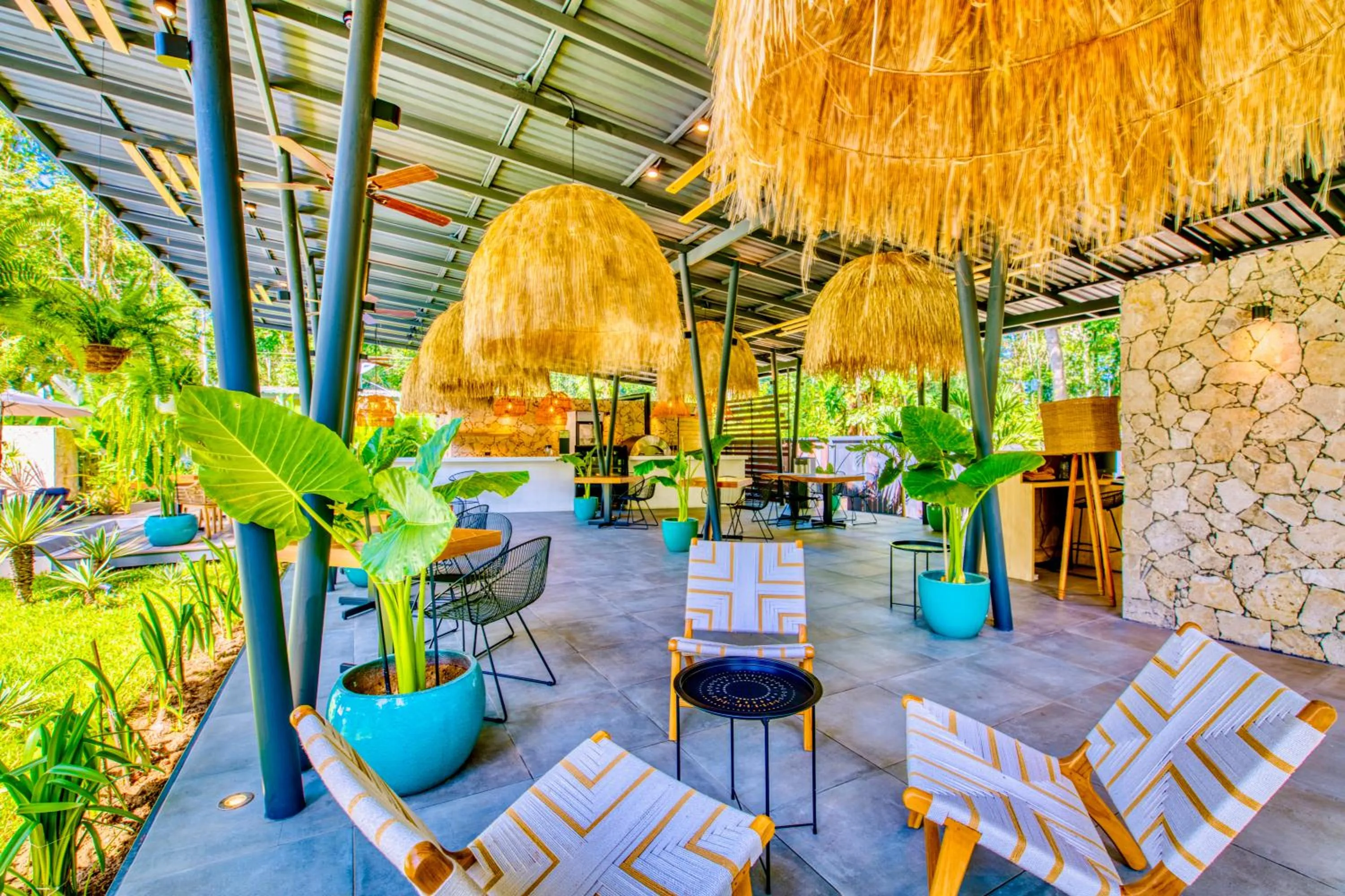 Restaurant/places to eat in Exōtico Beach Hotel