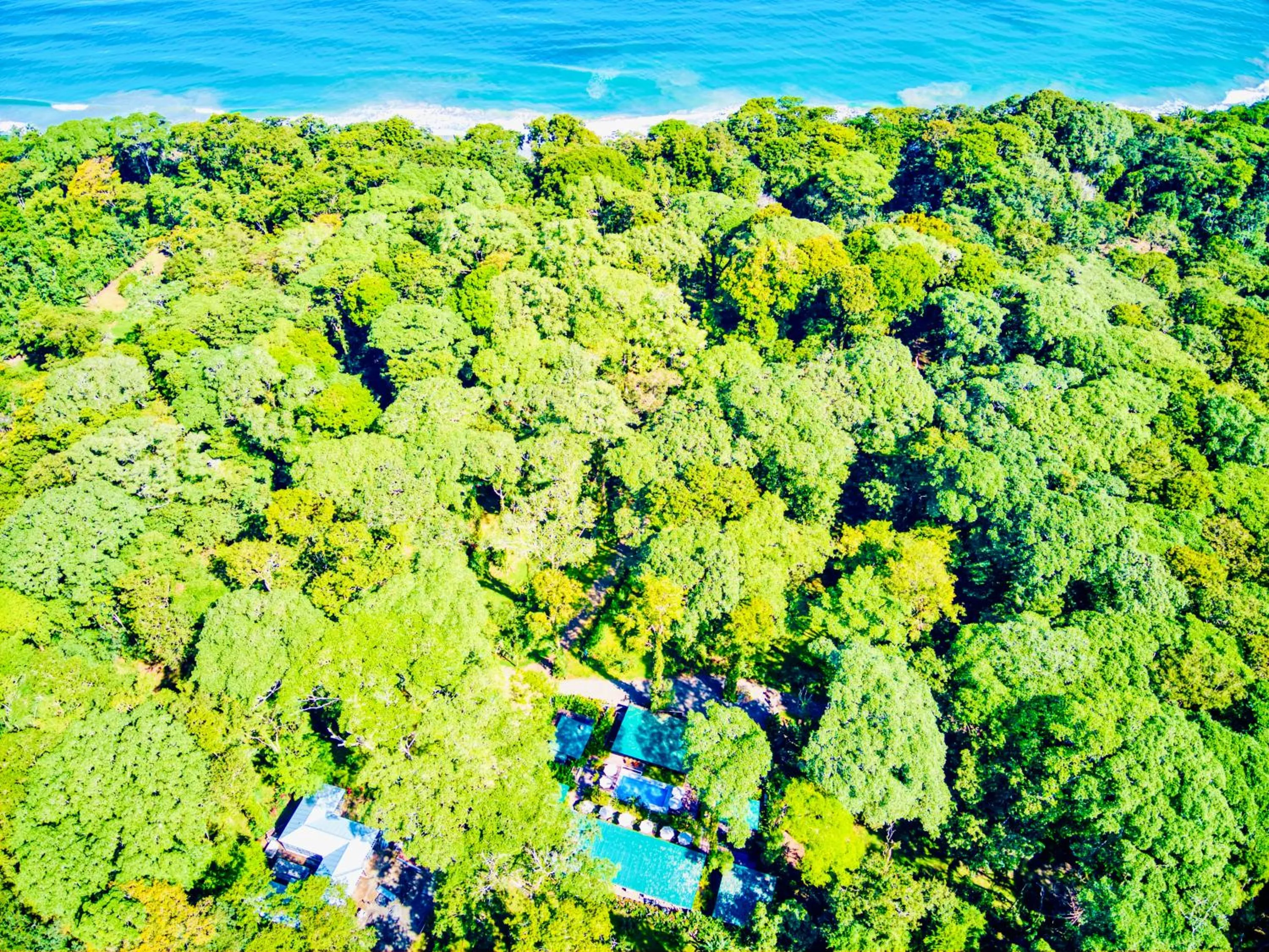Natural landscape in Exōtico Beach Hotel
