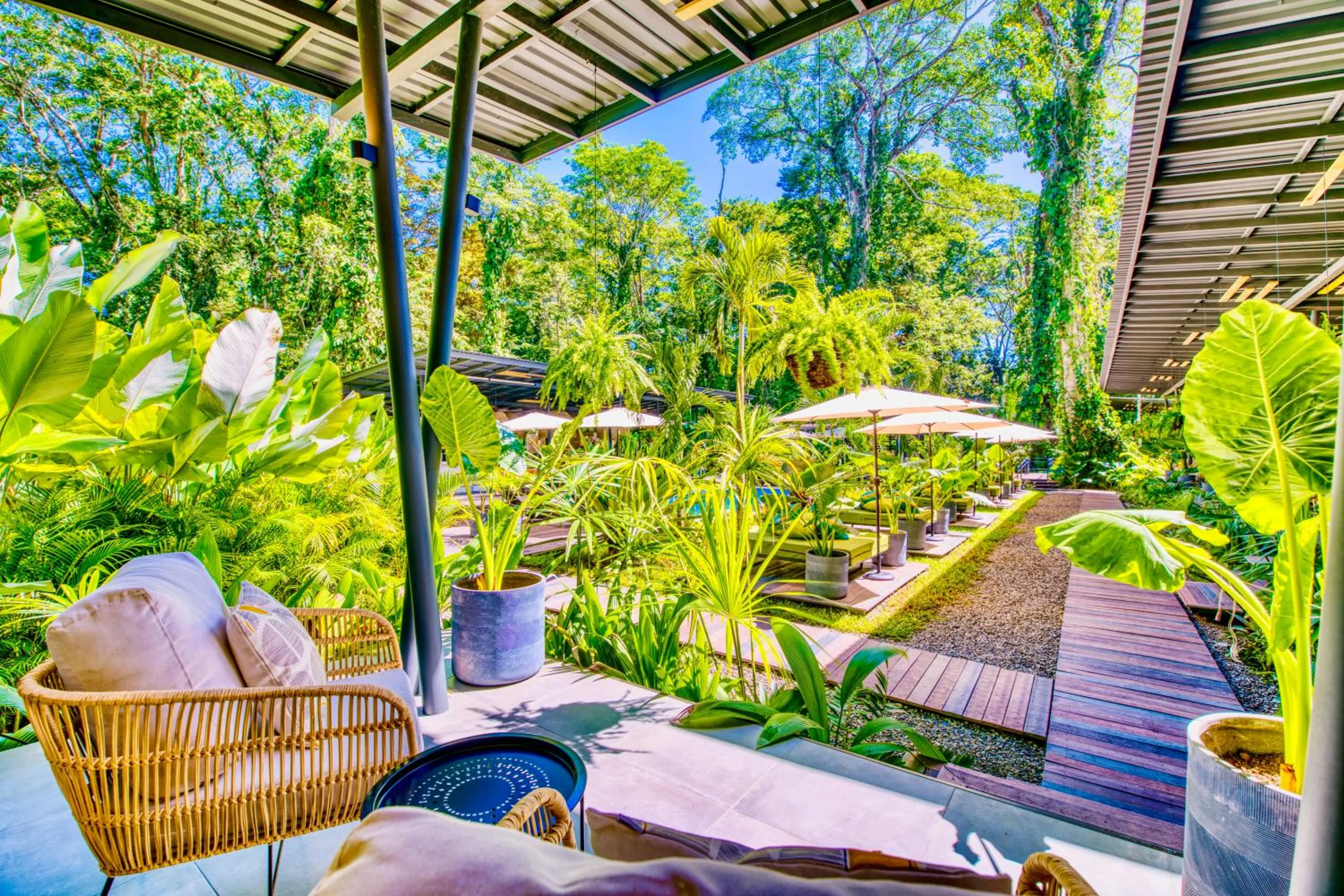 Garden in Exōtico Beach Hotel