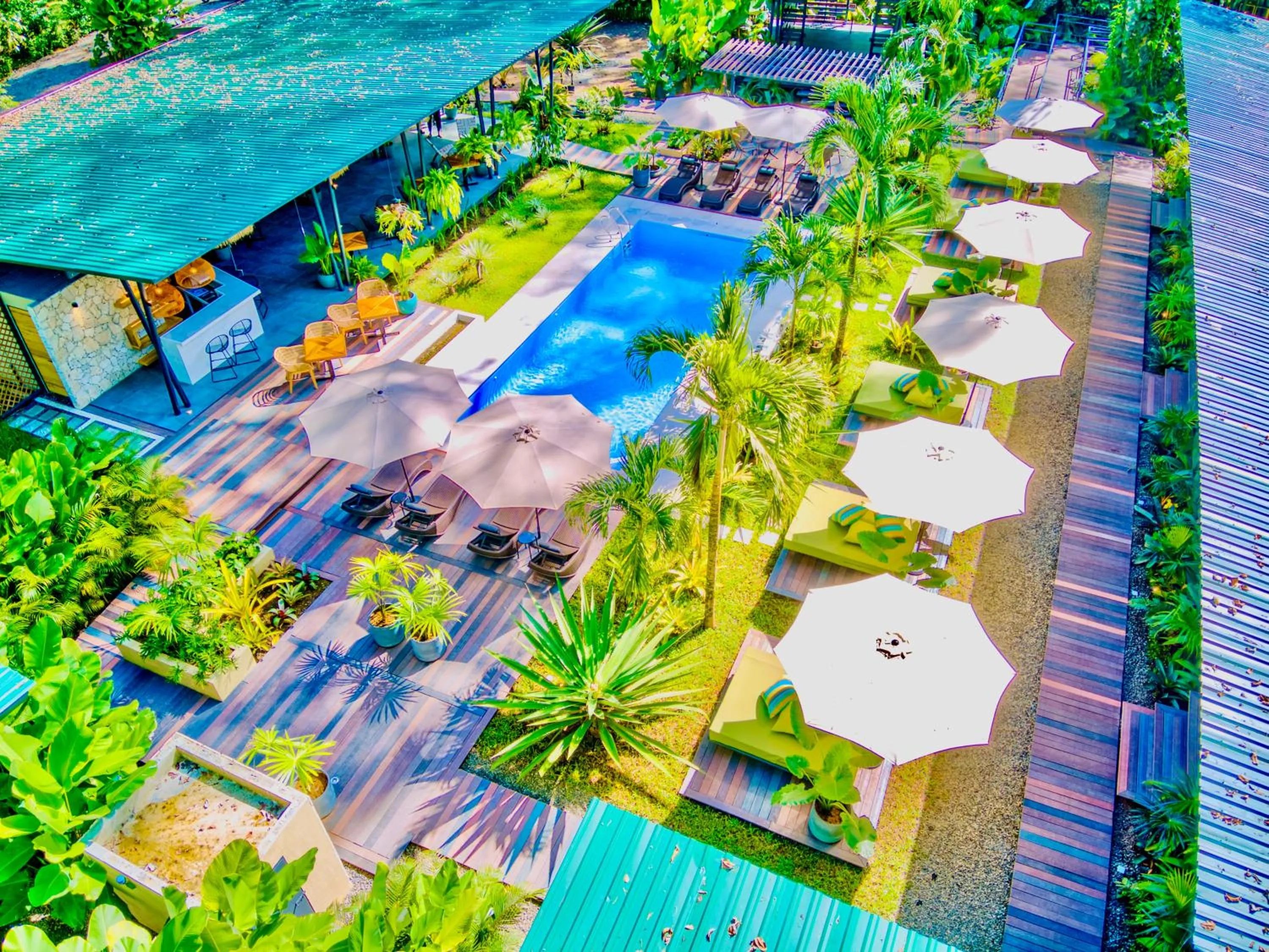 Garden in Exōtico Beach Hotel