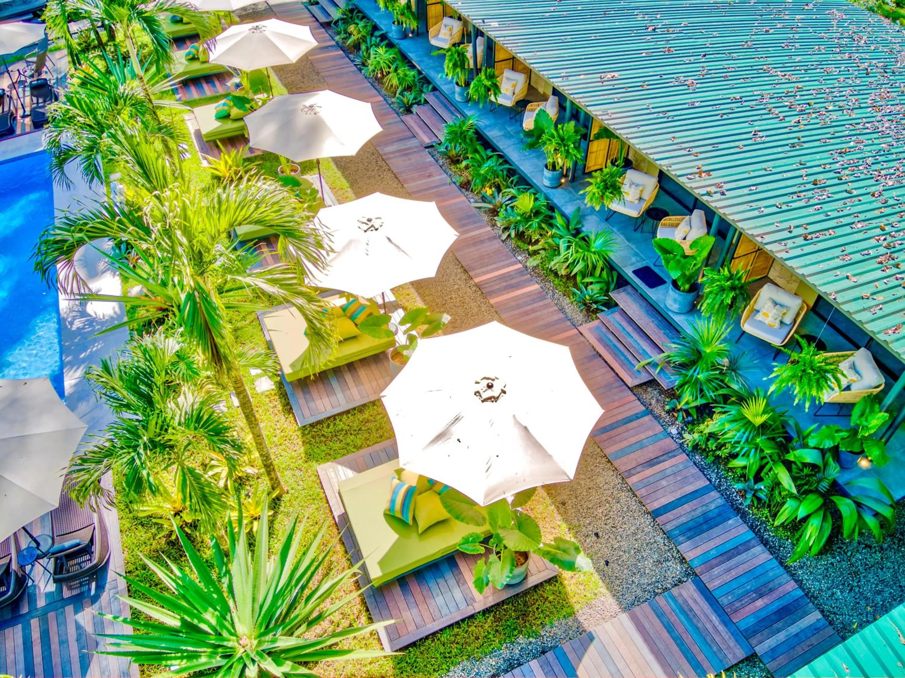 Garden view in Exōtico Beach Hotel