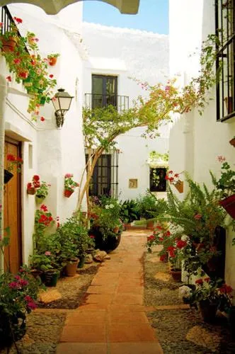 Area and facilities in Hotel Rural Almazara